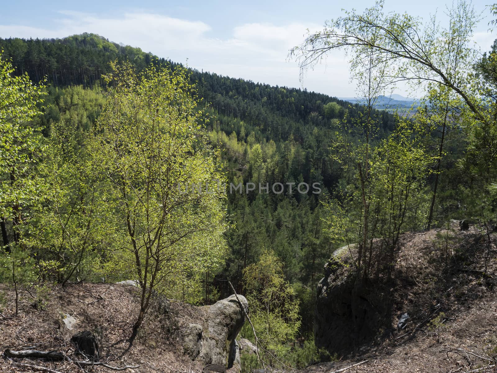 Spring landscape in Lusatian Mountains view from sandstone rocks, green hills, fresh deciduous and spruce tree forest. Blue sky background, horizontal, copy space.