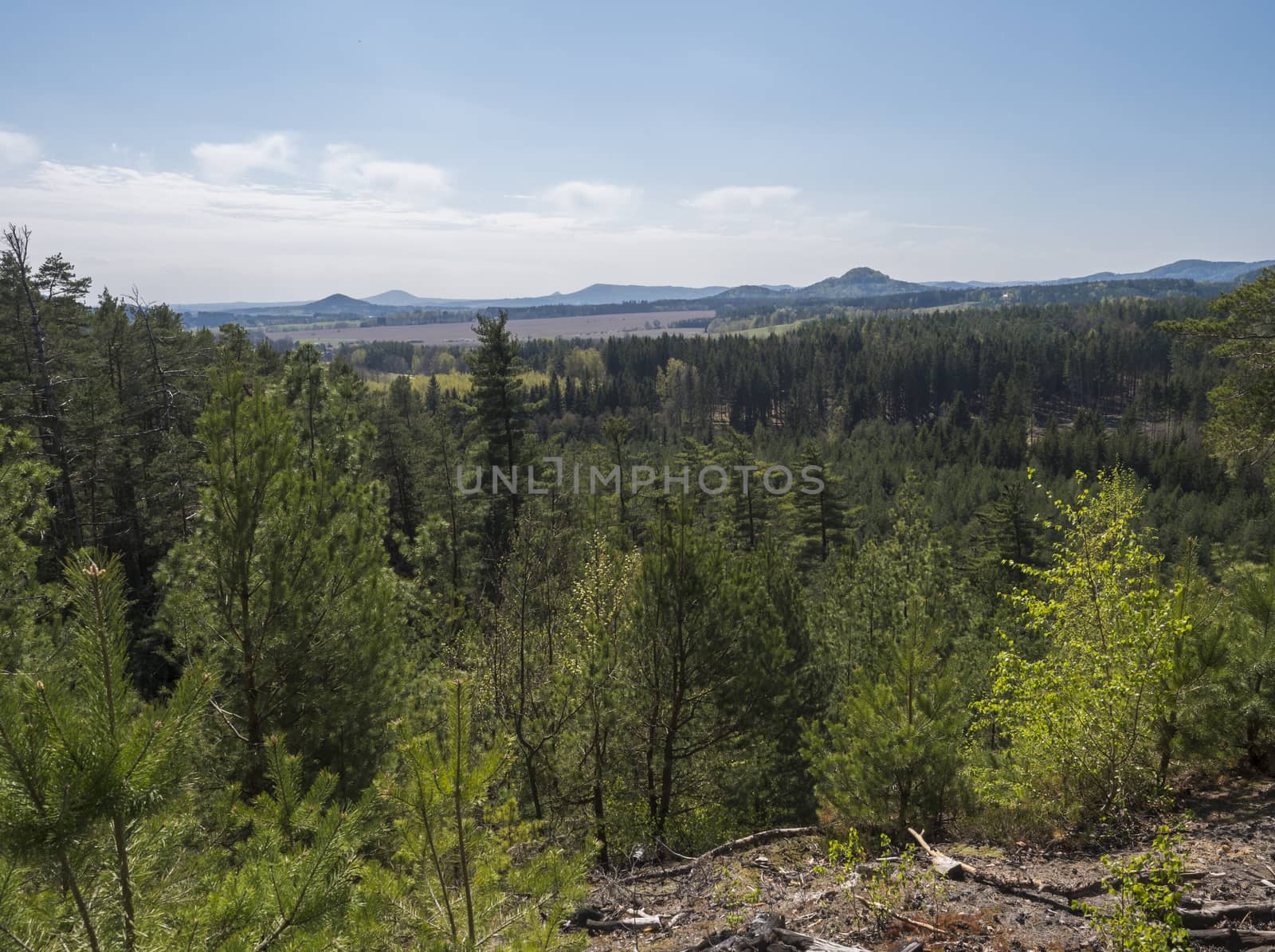 Spring landscape in Lusatian Mountains view from sandstone rocks, green hills, fresh deciduous and spruce tree forest. Blue sky background, horizontal, copy space.