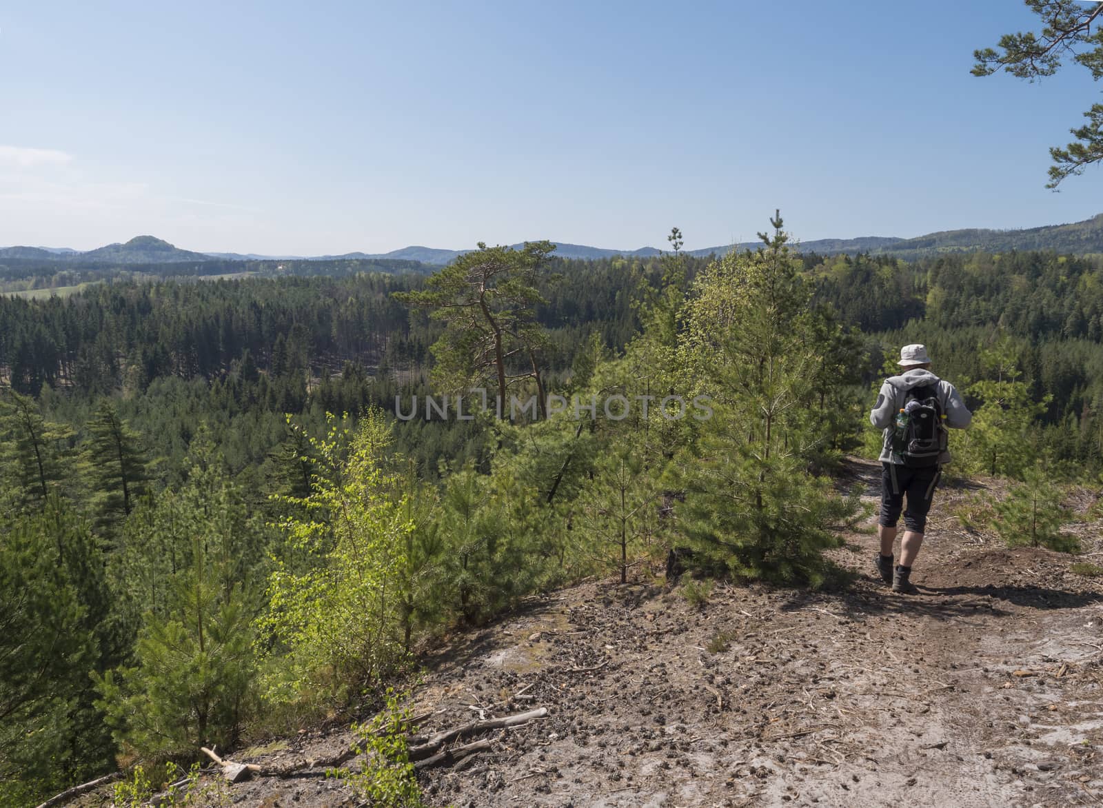Back of man hiker walking in landscape in Lusatian Mountains view from sandstone rocks, green hills, fresh deciduous and spruce tree forest. Blue sky background, horizontal, copy space.