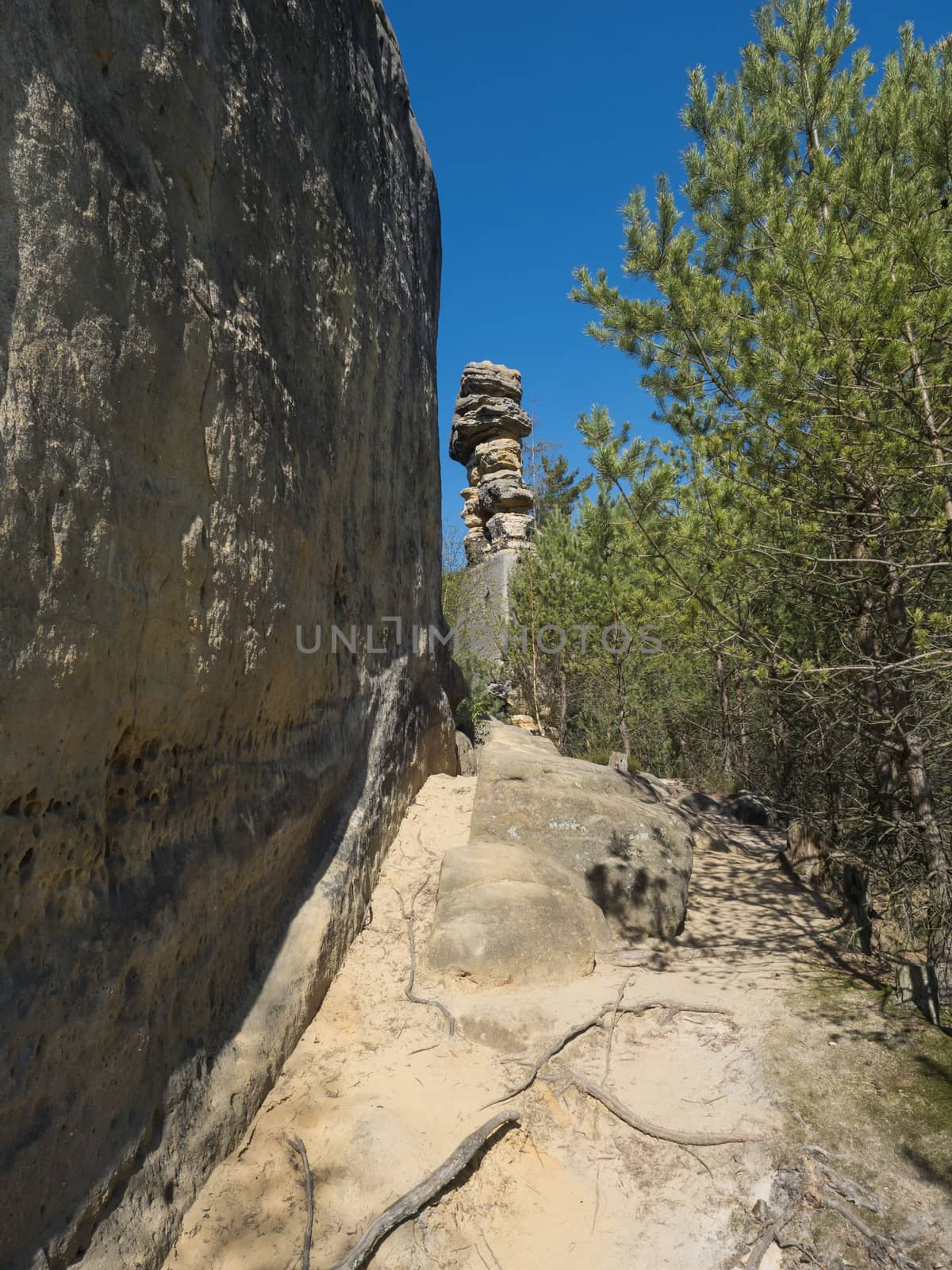 Sandstone rock pillar in spring landscape r Lusatian Mountains with fresh deciduous and spruce tree forest. Blue sky background, copy space.