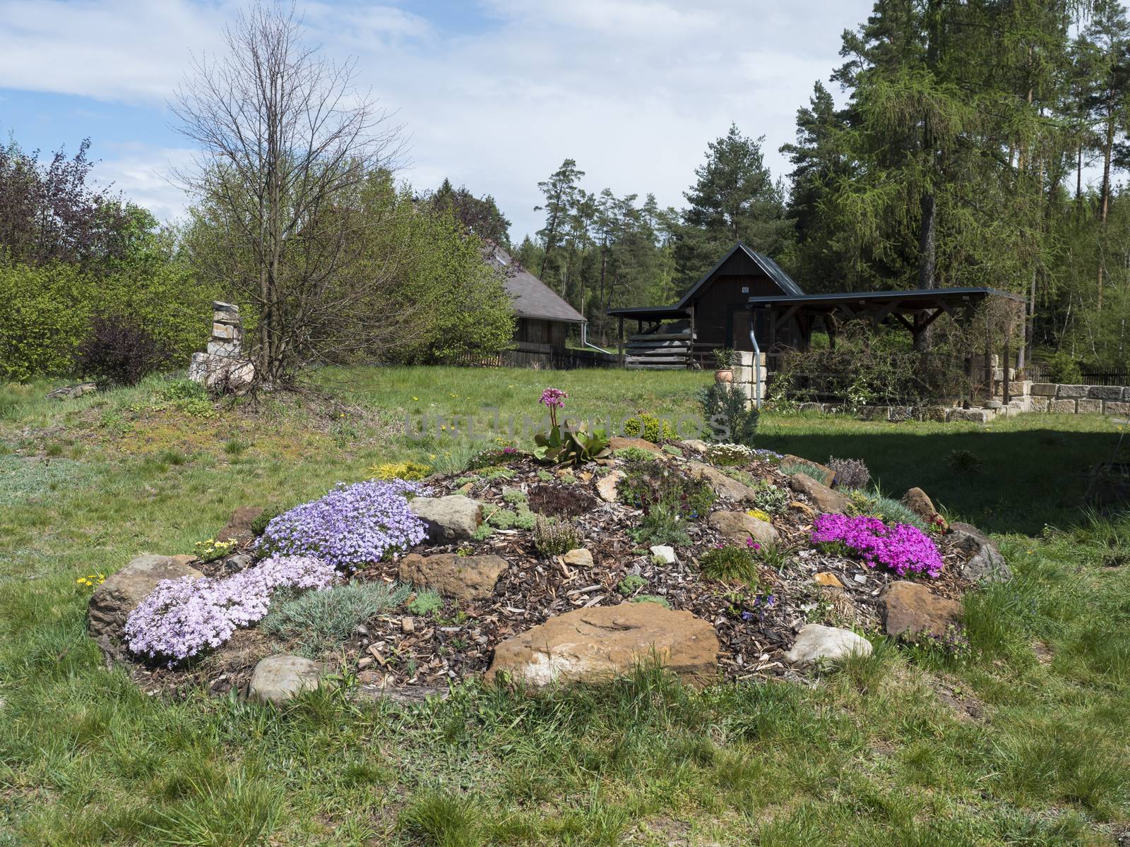 spring garden with beautiful rock garden in full bloom with pink Phlox, Armeria maritima, sea thrift, Bergenia or elephants ears, carnation and other colorful blooming flowers and gazebo or pergola.
