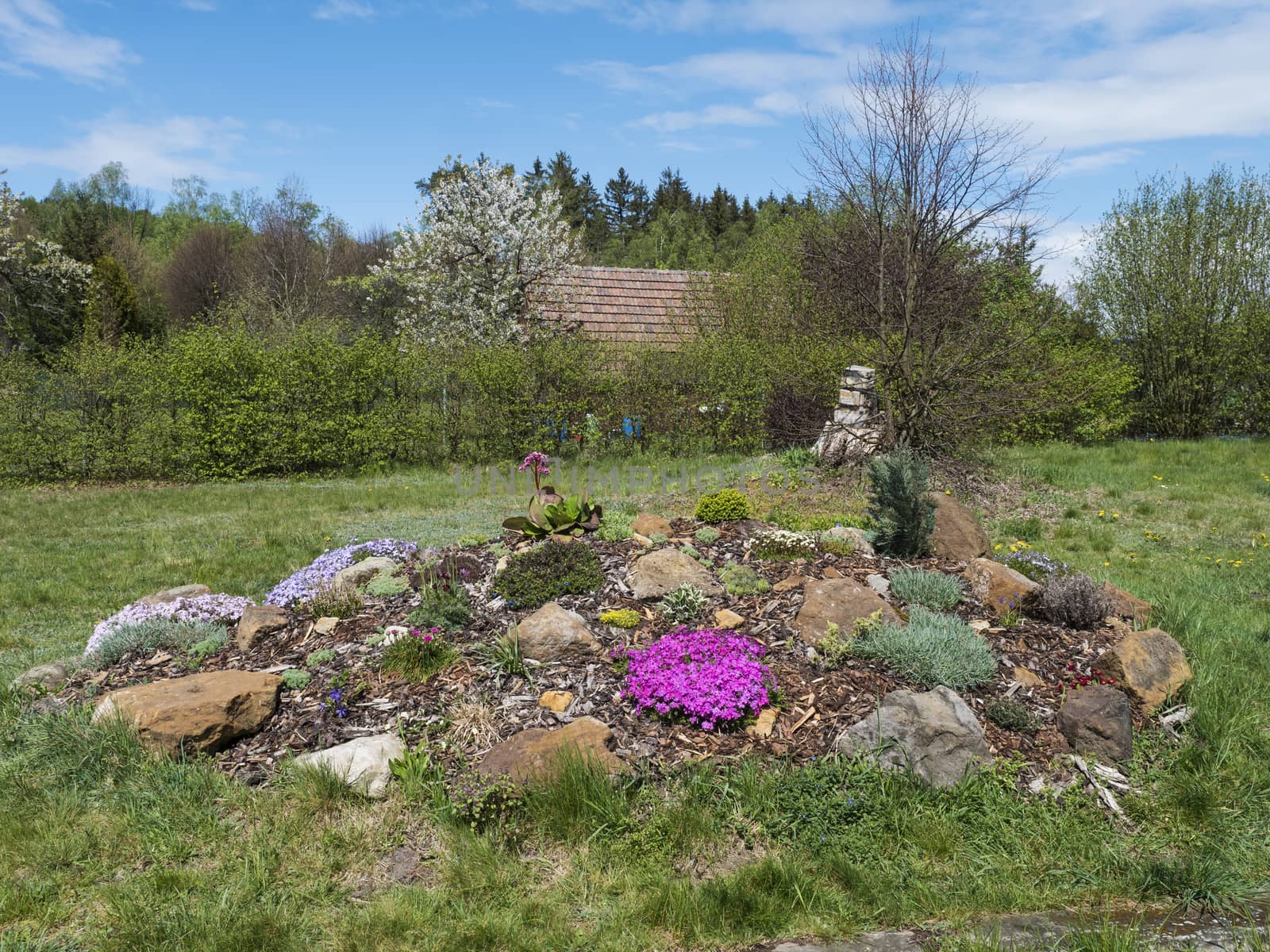 View on spring garden with beautiful rock garden in full bloom with pink Phlox subulata, Armeria maritima, sea thrift, Bergenia or elephants ears, carnation and many other colorful blooming flowers