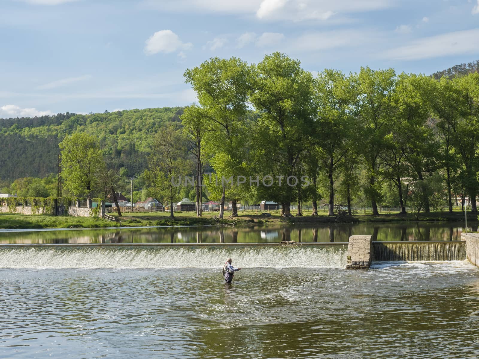 Weir on the river Berounka in village Zadni Treban with fly fisherman standing in the stream and lush green trees. Sunny summer day, Czech Rupublic by Henkeova