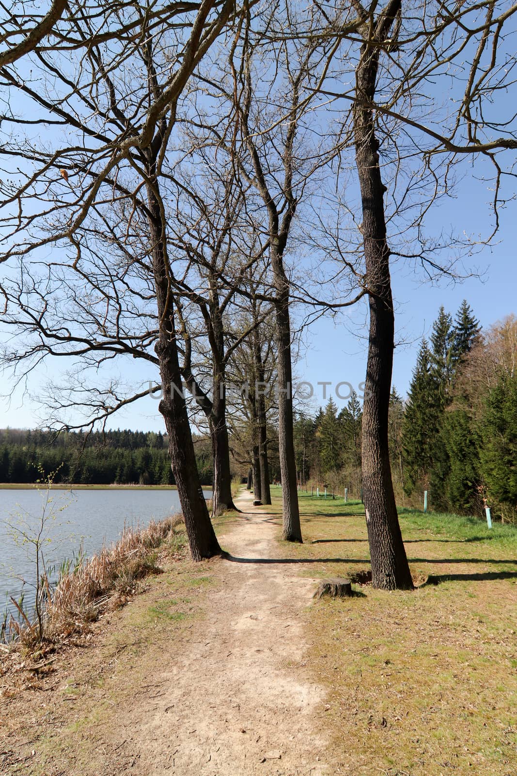 Narrow footpath on the pond dike