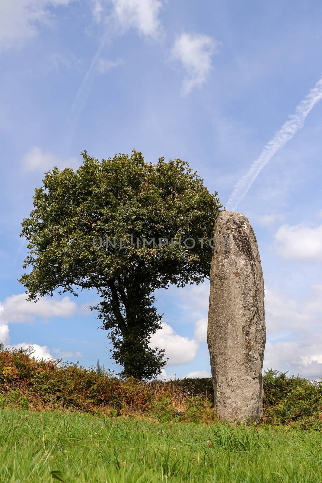 Menhir of Kergornec - megalithic monument in Brittany, France by Mibuch