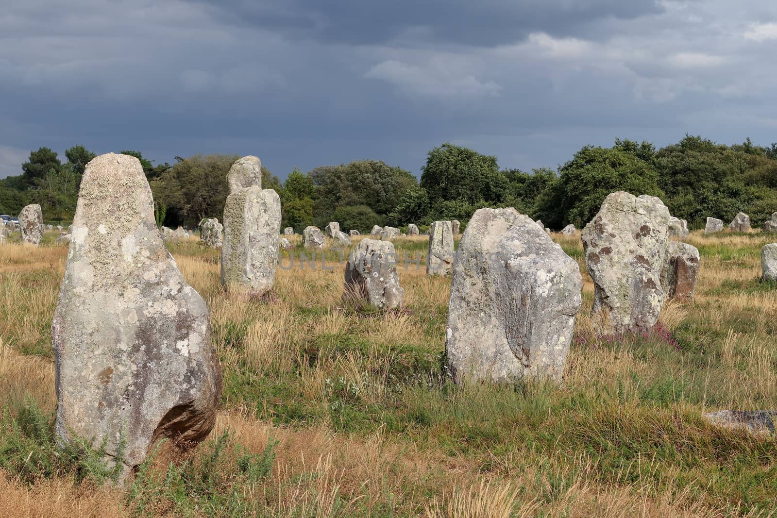 Alignements du Menec - rows of Menhirs - standing stones - the largest megalithic site in the world, Carnac, Brittany, France
