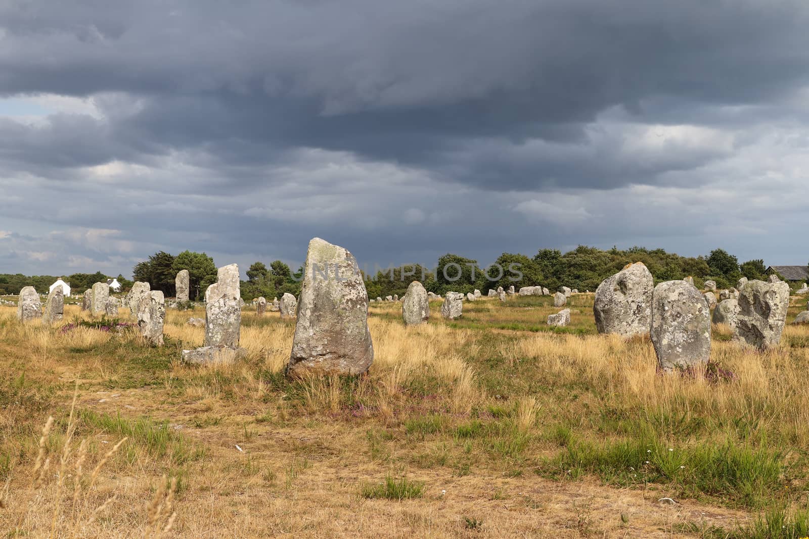 Alignements du Menec - rows of Menhirs - standing stones - the largest megalithic site in the world, Carnac, Brittany, France
