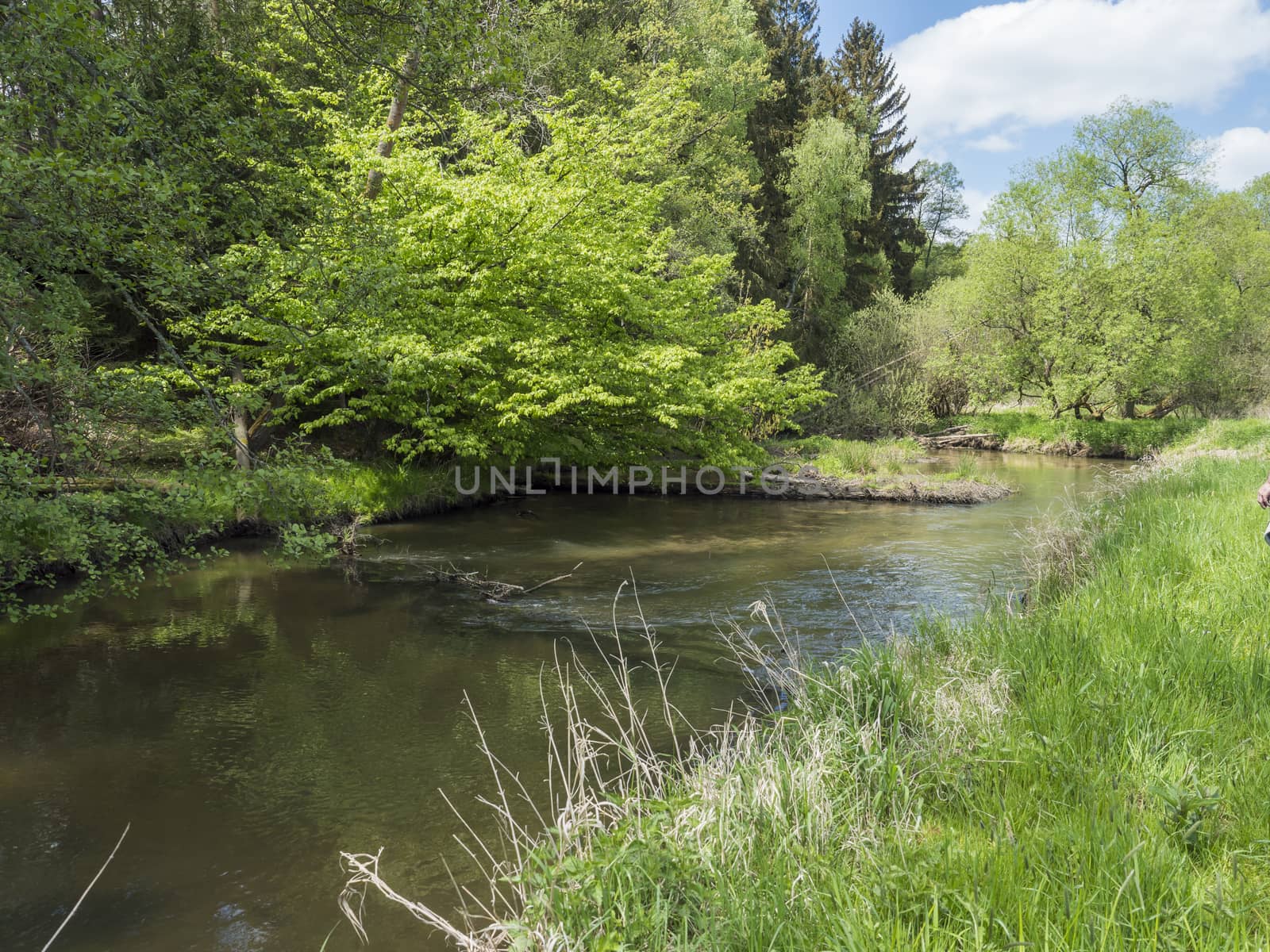 idyllic landscape of winding river stream meander at lush green meadow with deciduous tree forest, blue sky backgound. Late spring sunny afternoon, vibrant colors by Henkeova