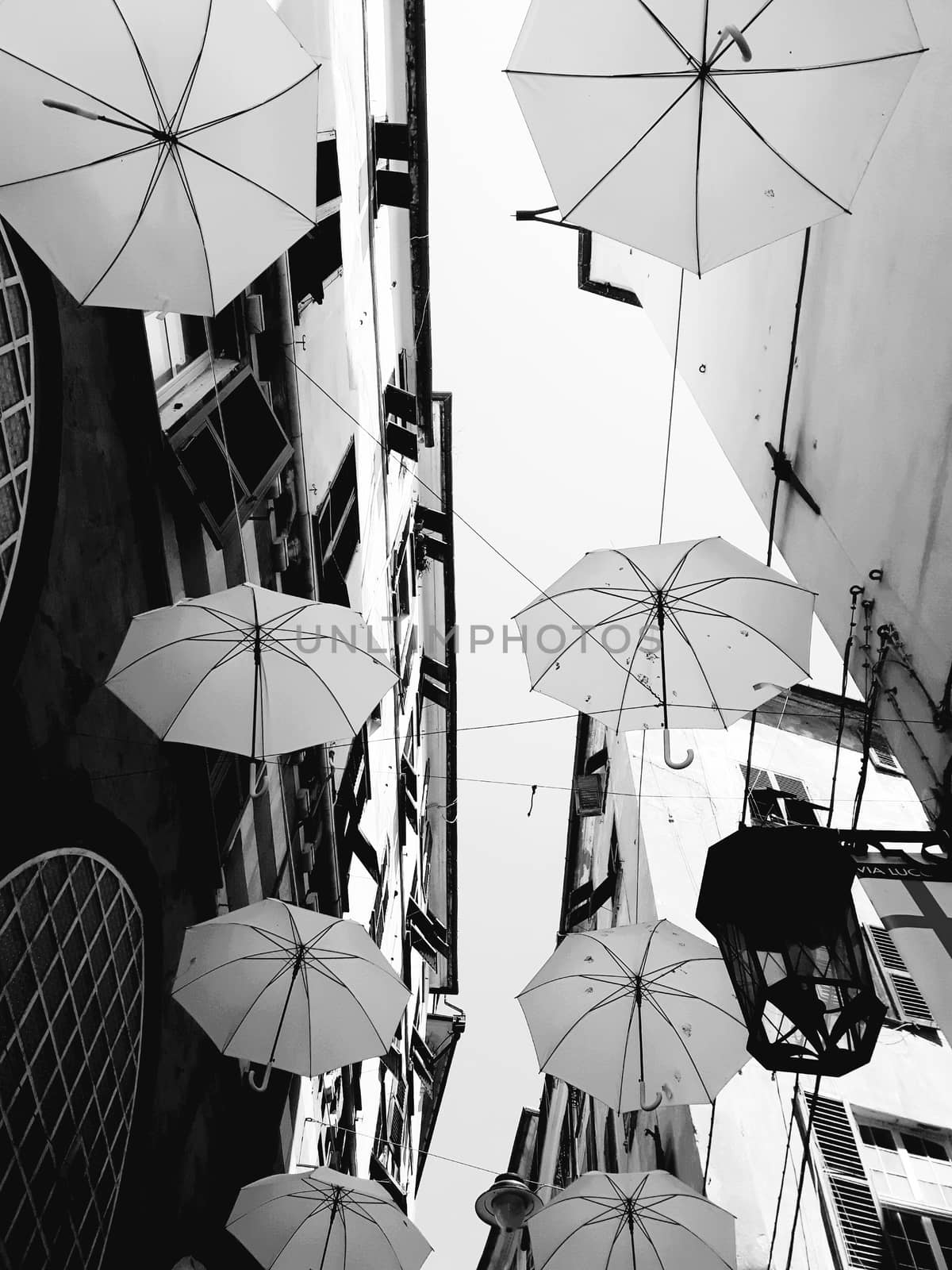 Genova, Italy - 06/01/2020: Bright abstract background of jumble of rainbow colored umbrellas over the city celebrating gay pride