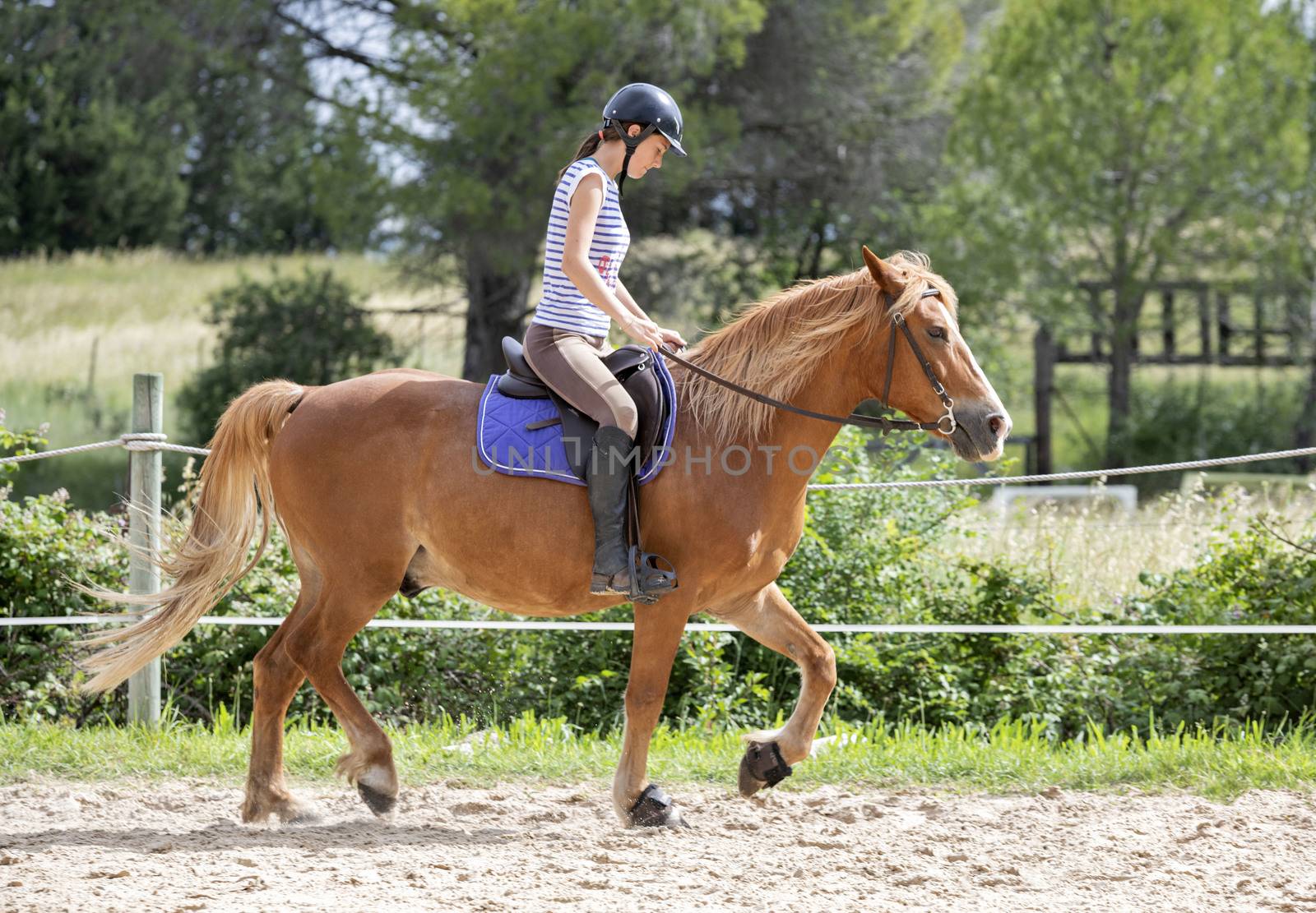  riding girl are training her horse in equestrian center