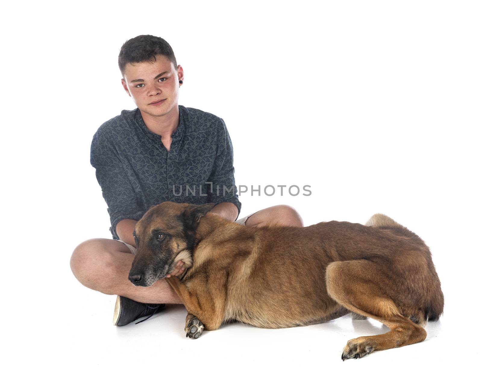 belgian shepherd and boy in front of white background