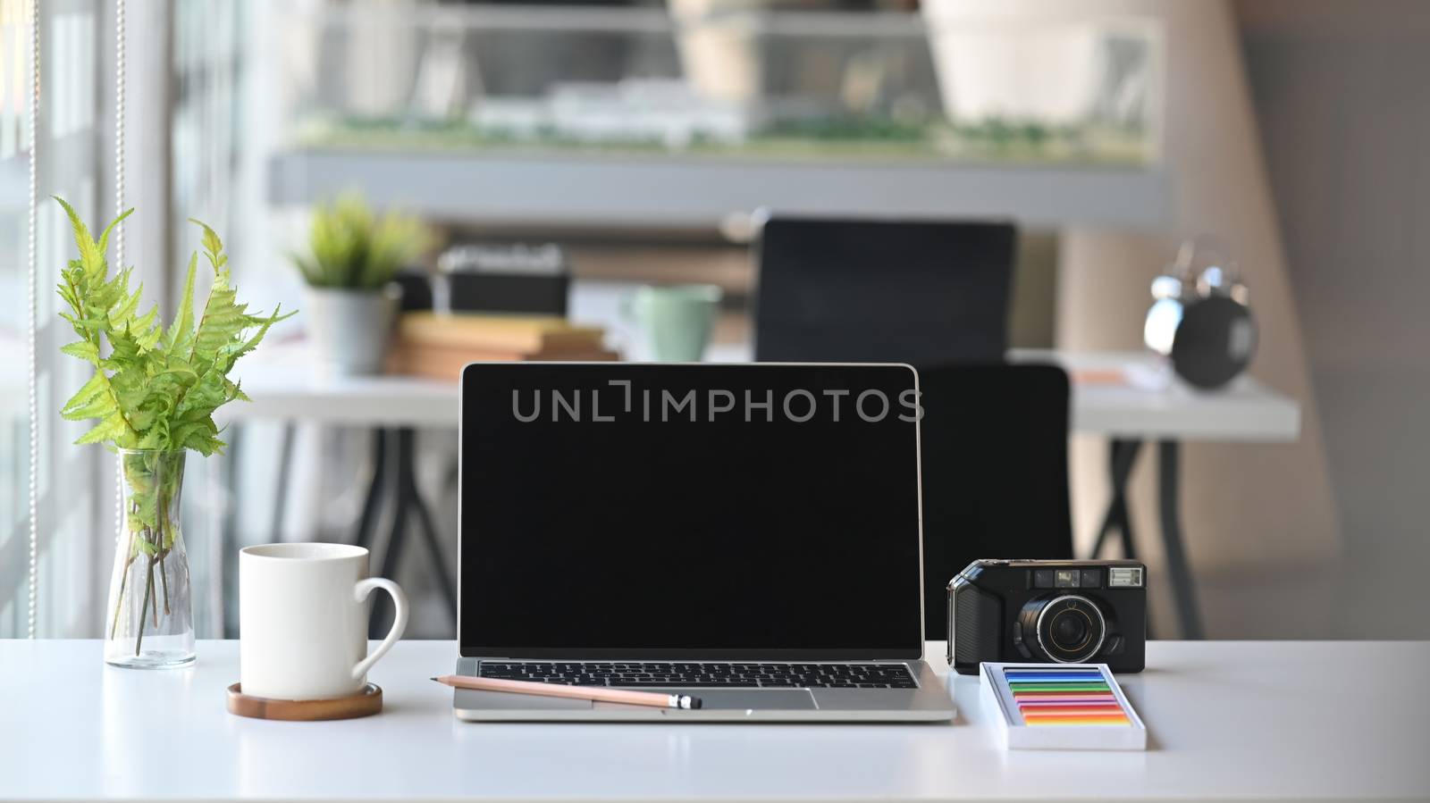 Black blank screen laptop, coffee cup, camera, color, pencil,  potted plant on a working desk.