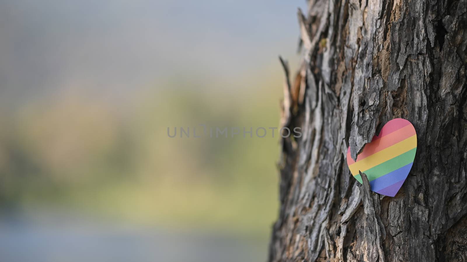 LGBT hearts symbol attached with bark of tree. LGBT happiness co by prathanchorruangsak