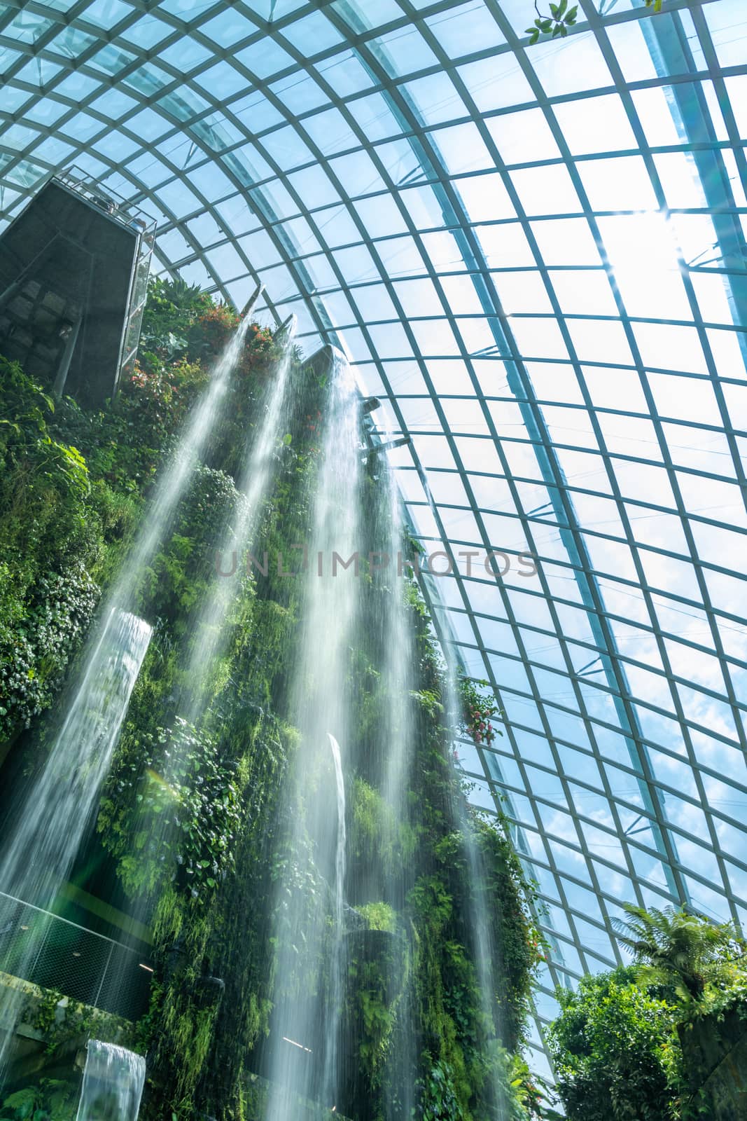 SINGAPORE CITY, SINGAPORE - FEBRUARY 14, 2019: Cloud Forest at the Gardens by the bay mist-filled landscape of rare vegetation and dramatic vistas.