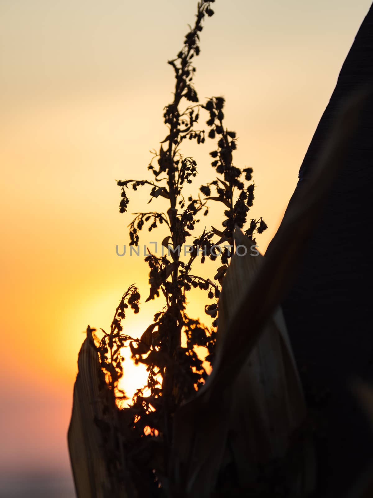 Traditional long-tail boat on the beach in Thailand