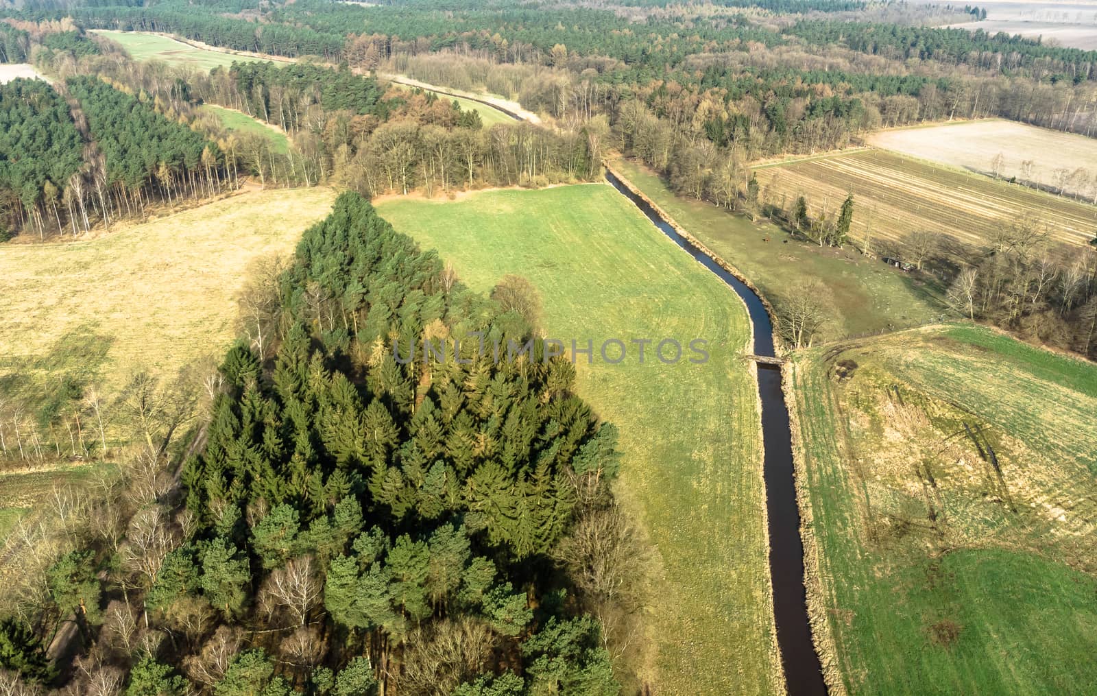Aerial view of a stream flowing through meadows and fields with a small pine forest on one side, made with drone