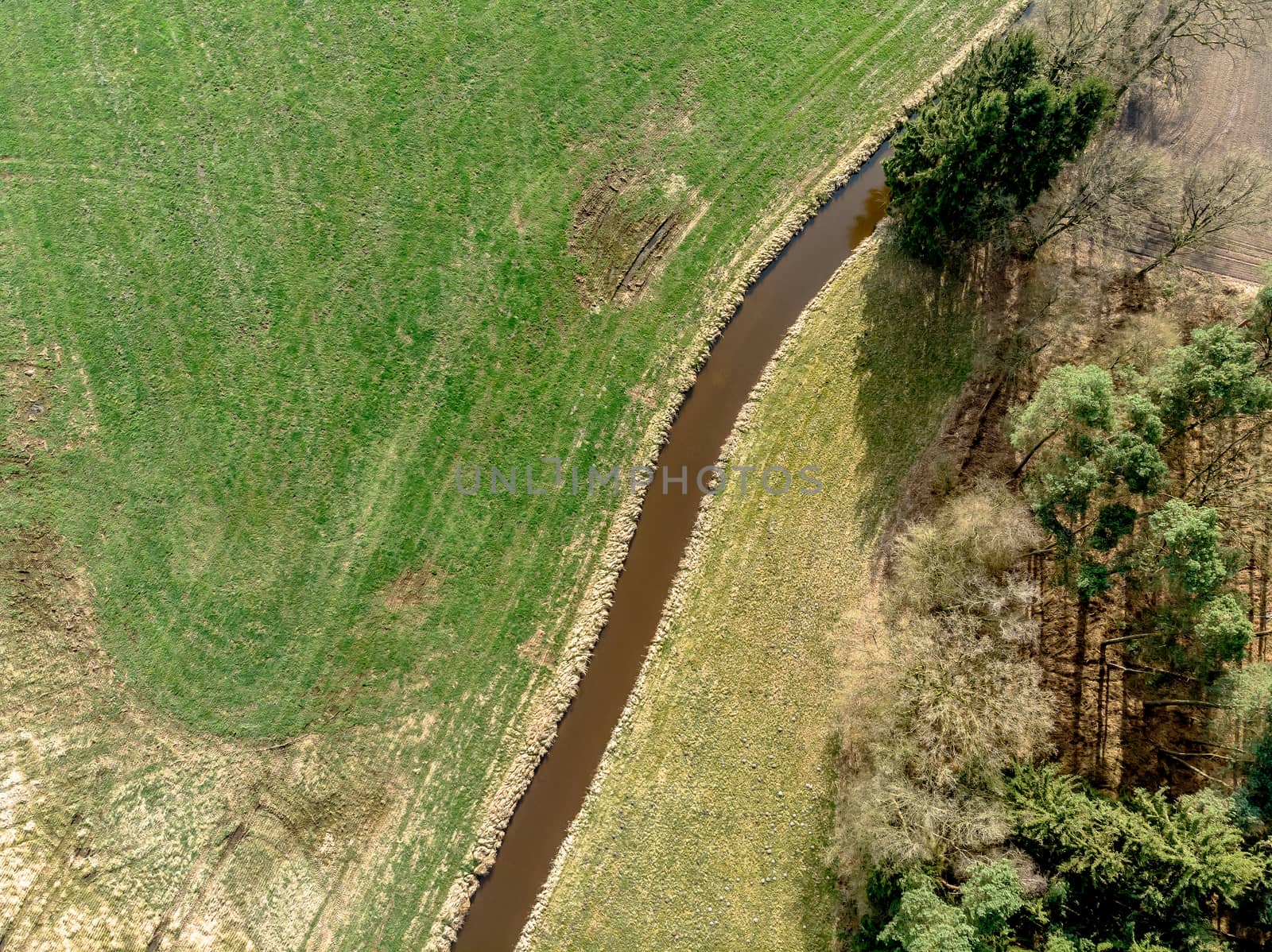 Aerial view of a stream flowing through meadows and fields with a small pine forest on one side, made with drone