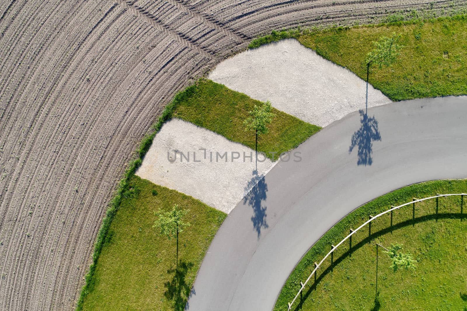 Abstract aerial view of the shadow of three trees standing at the edge of a curve on a path next to a field, made with drone