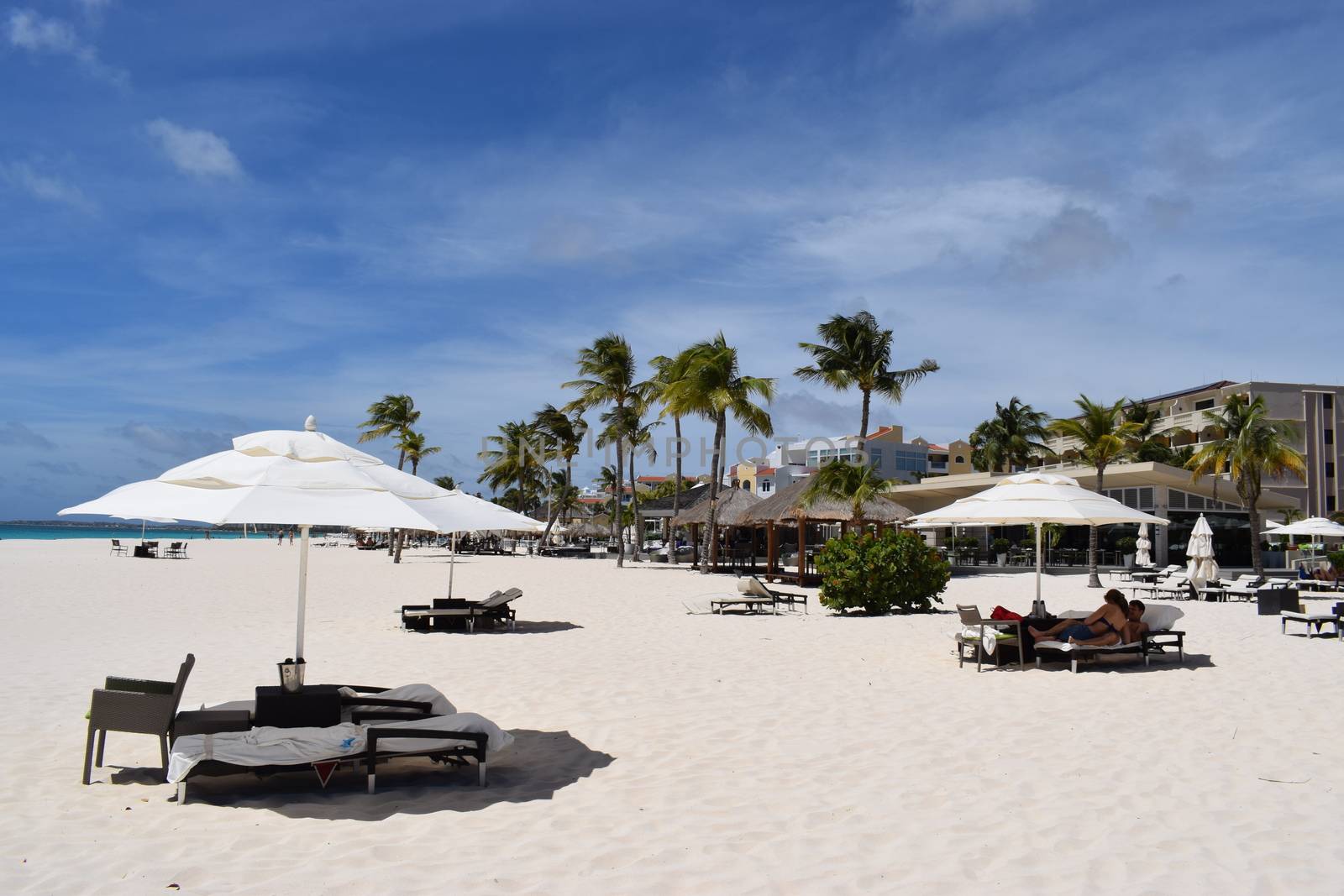 Panoramic view of the beach of Aruba, famous for white sand, palm trees and turquoise water by matteobartolini