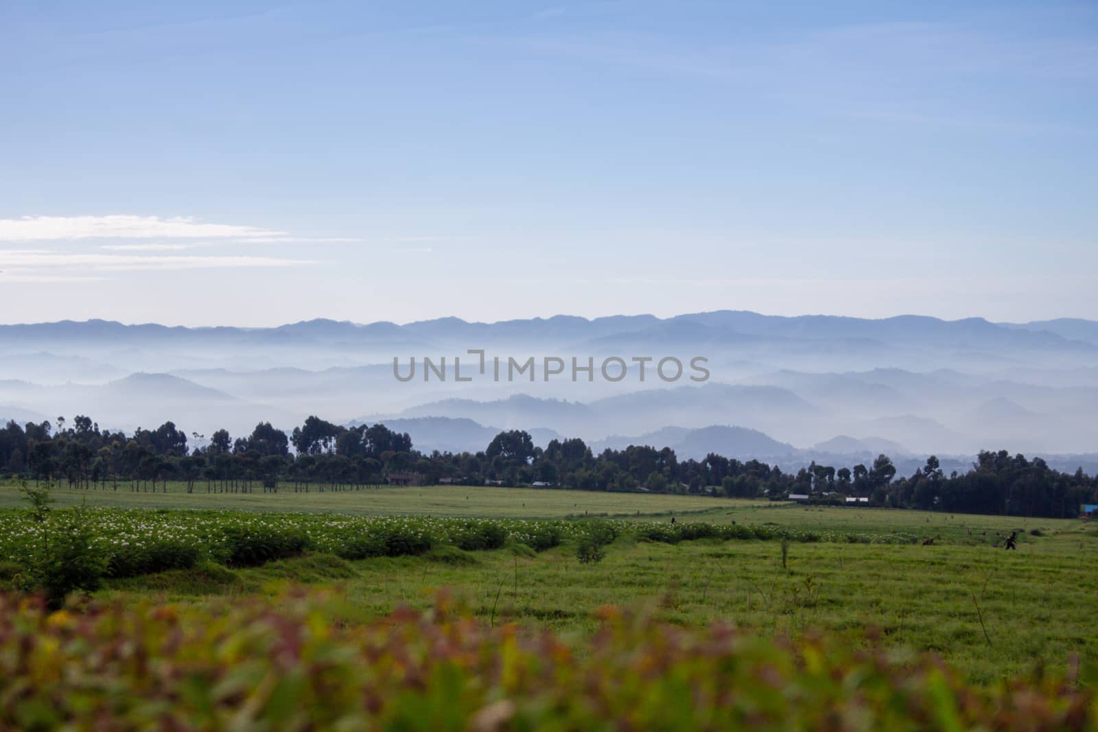 Beautiful landscape of Volcanoes National Park, Rwanda