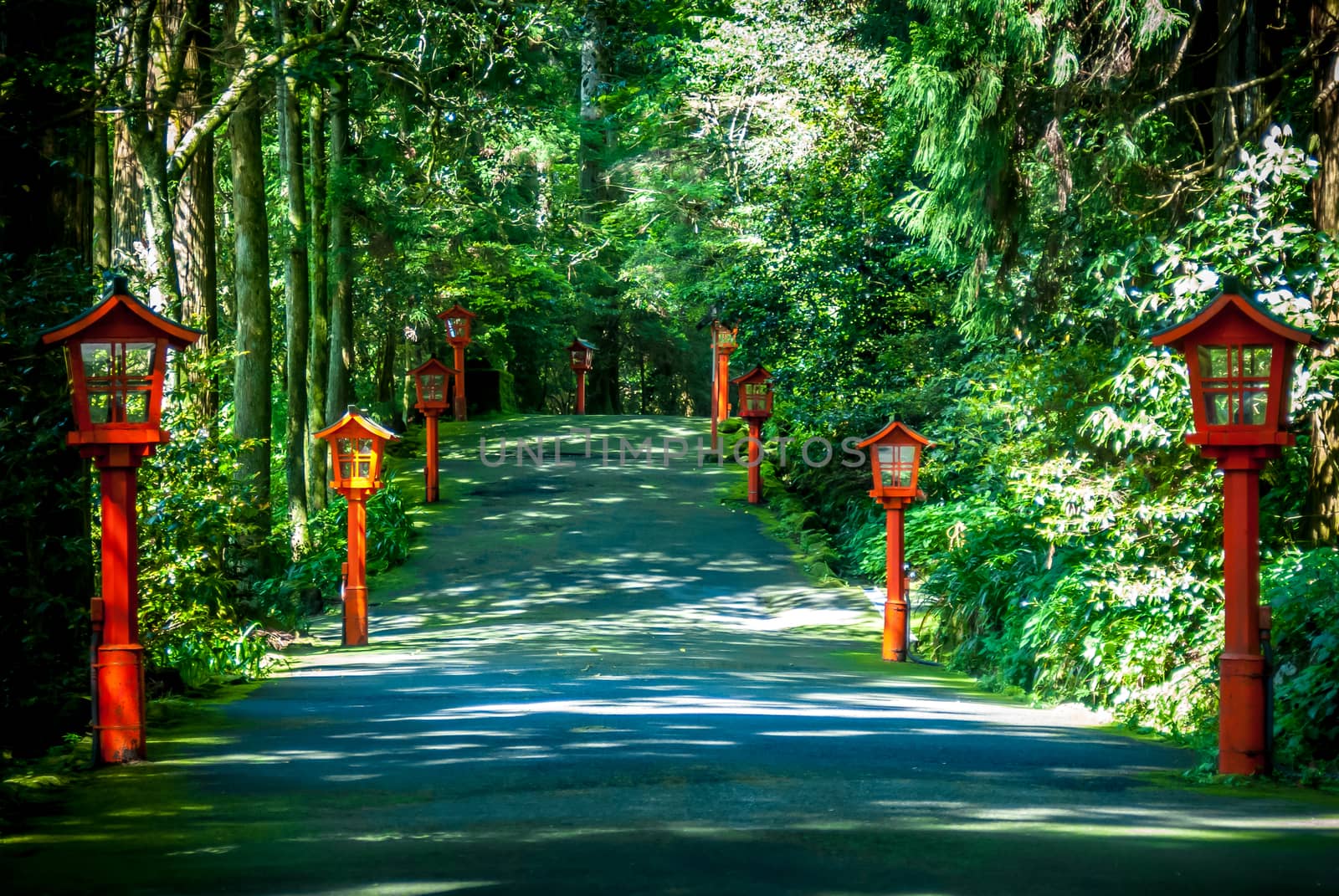 Path with red lanterns around Lake Ashi at Mount Fuji in Japan