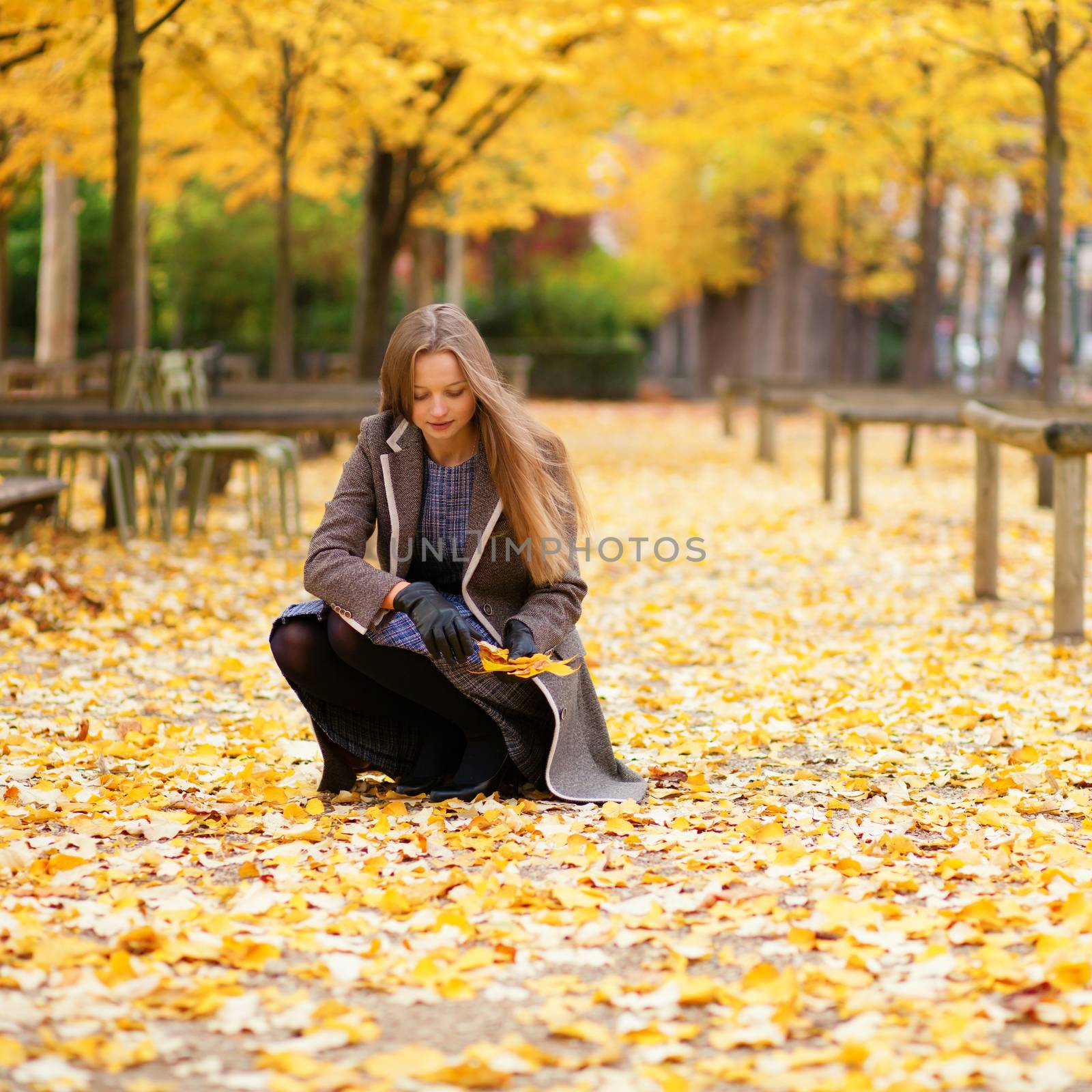 Beautiful girl gathering autumn leaves in park