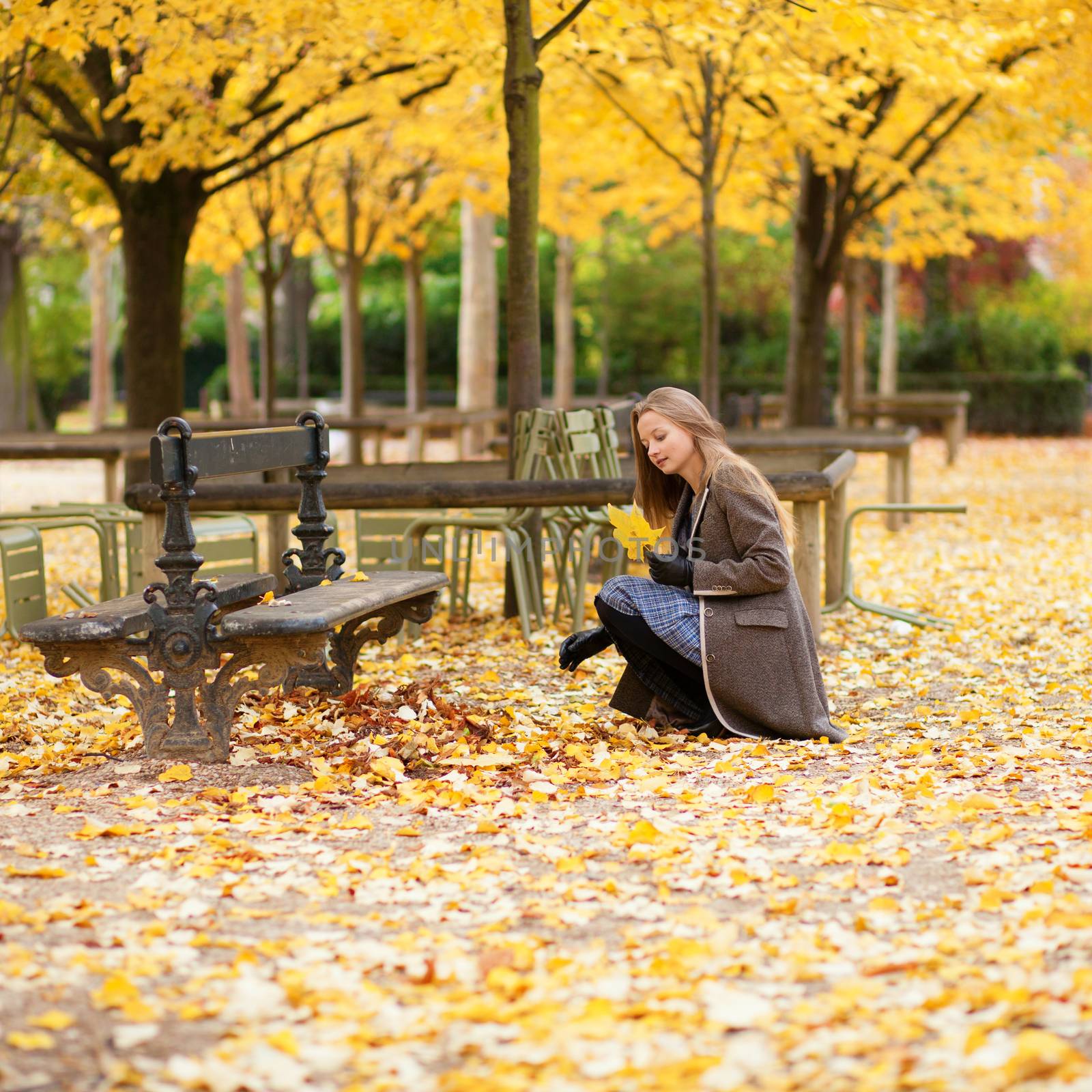 Girl gathering autumn leaves in a park