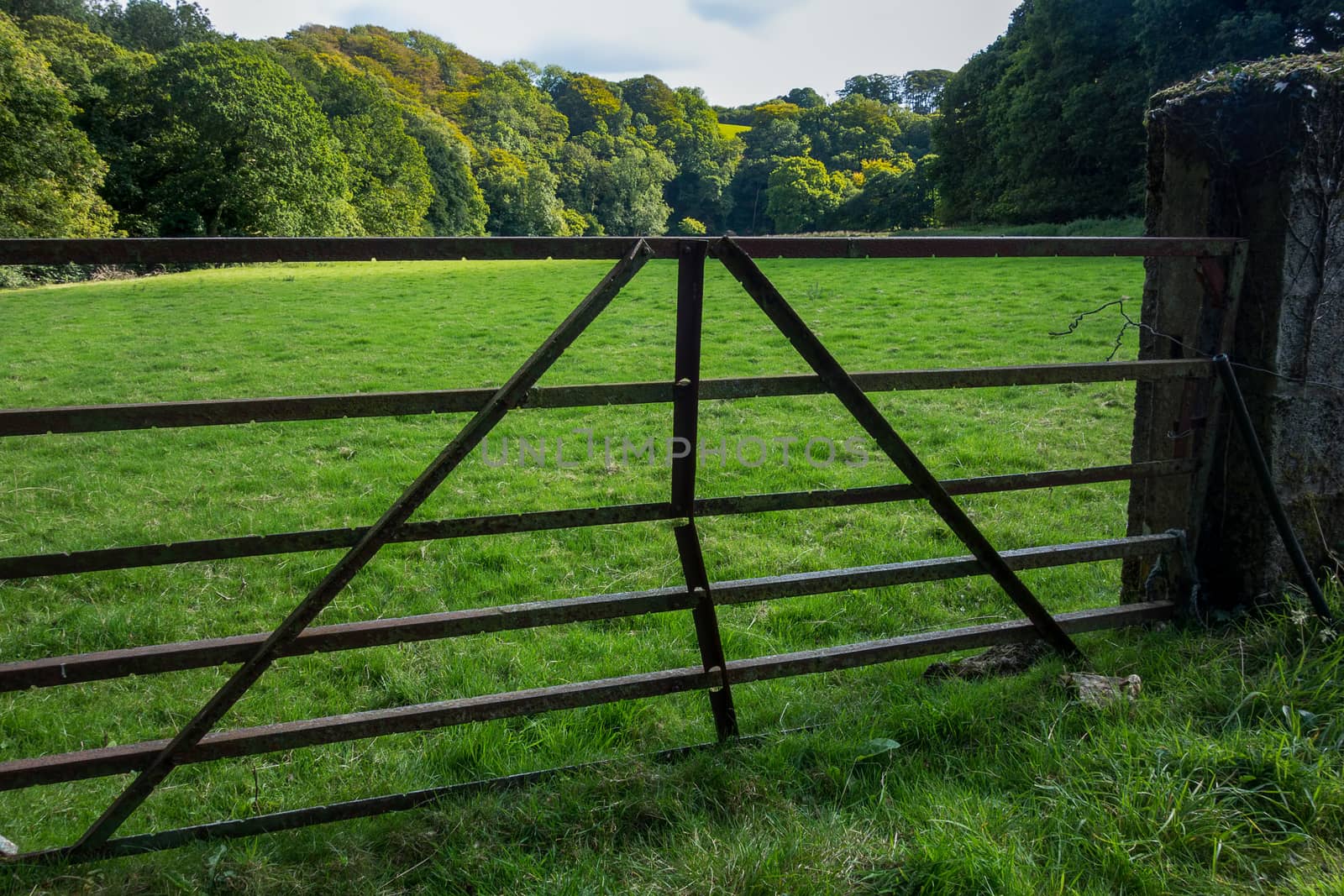 A metal gate leading to a field in the Cornish countryside, England