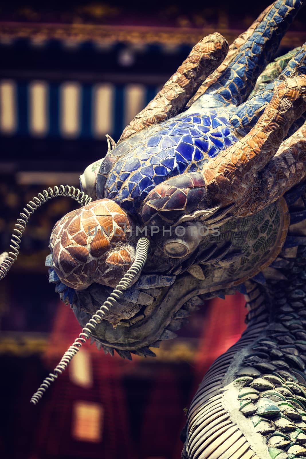 Dragon fountain  of the Cantonese Assembly Hall  by Netfalls