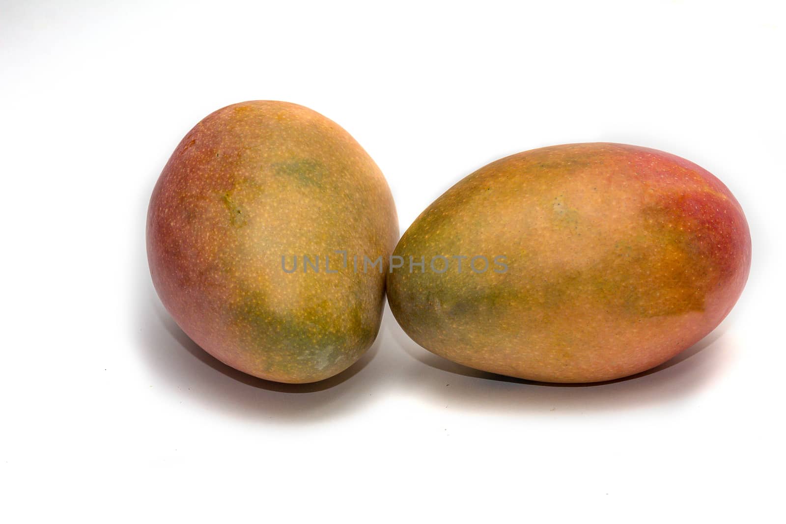 Two ripe mangoes (Mangifera indica) on a white background by magicbones