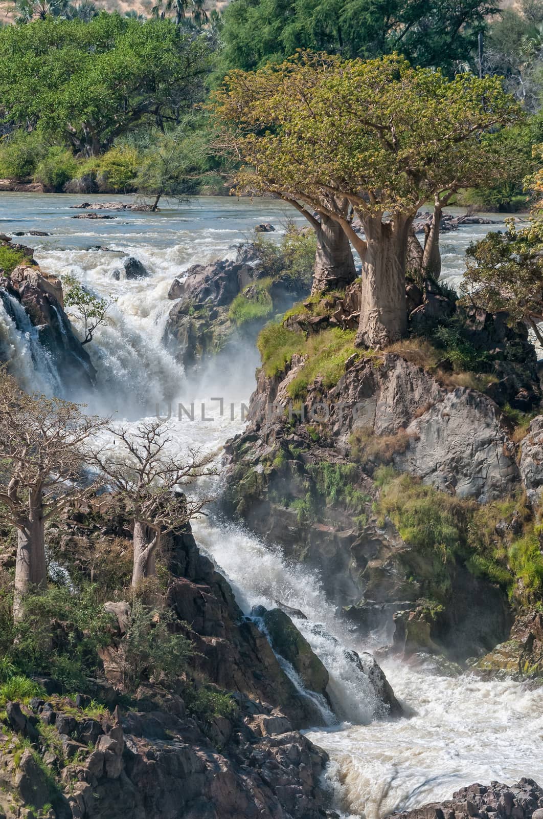 Part of the Epupa waterfalls in the Kunene River. Baobab trees are visible
