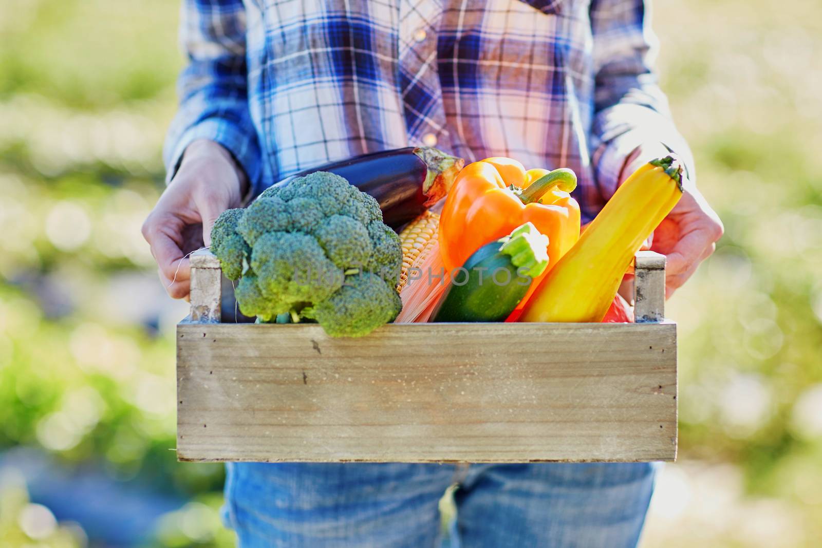 Woman holding wooden crate with fresh organic vegetables from farm