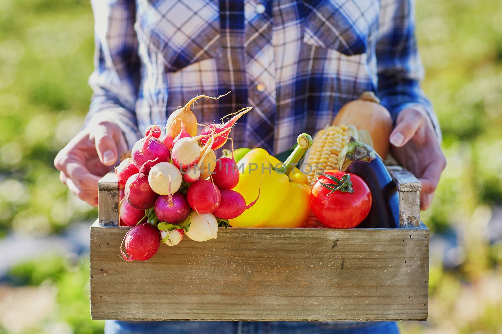 Woman holding wooden crate with fresh organic vegetables from farm