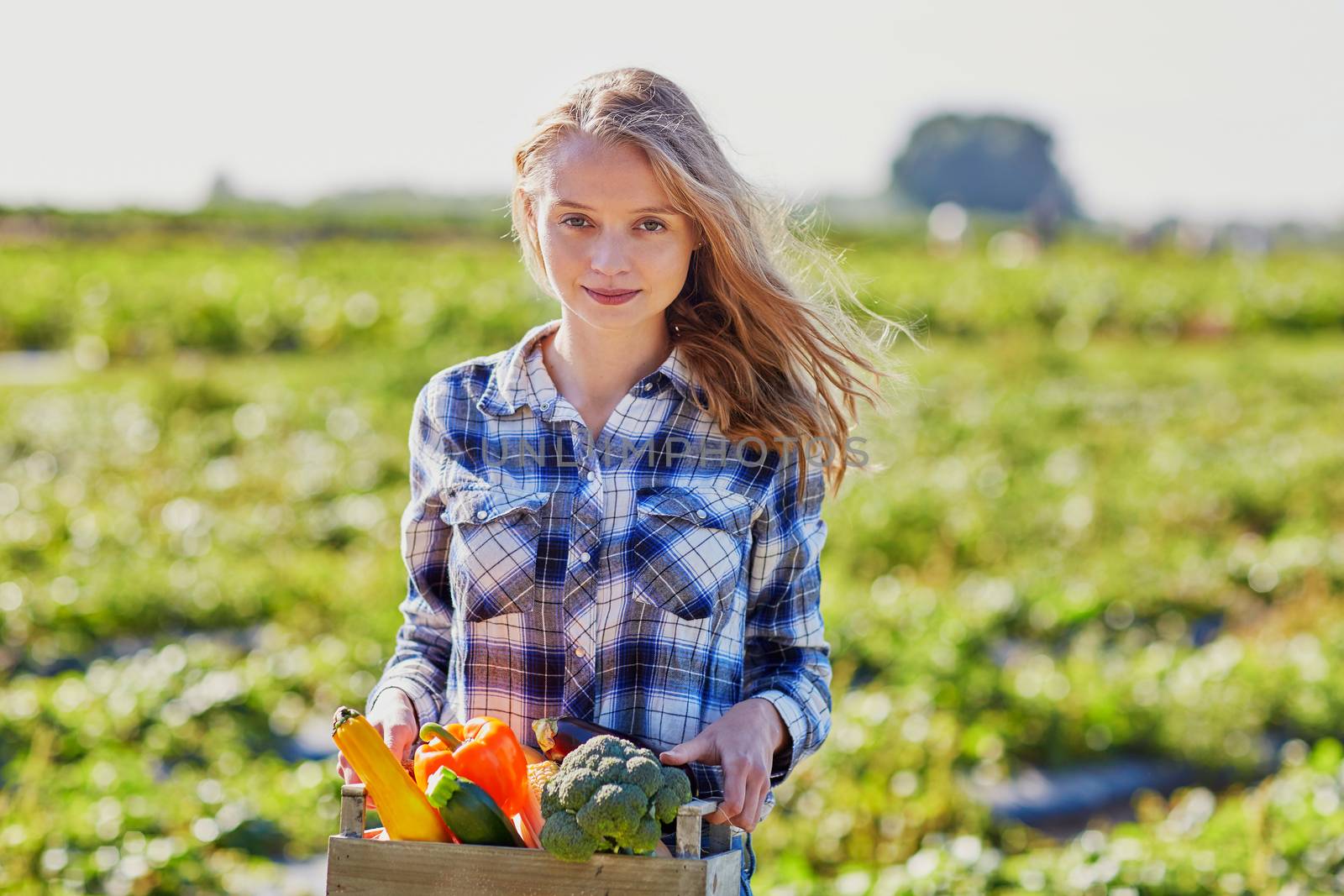 Woman holding wooden crate with fresh organic vegetables from farm