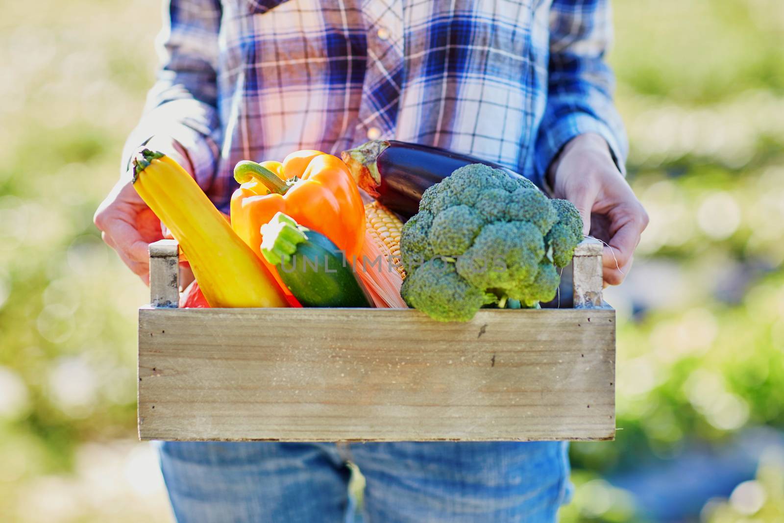 Woman holding wooden crate with fresh organic vegetables from farm