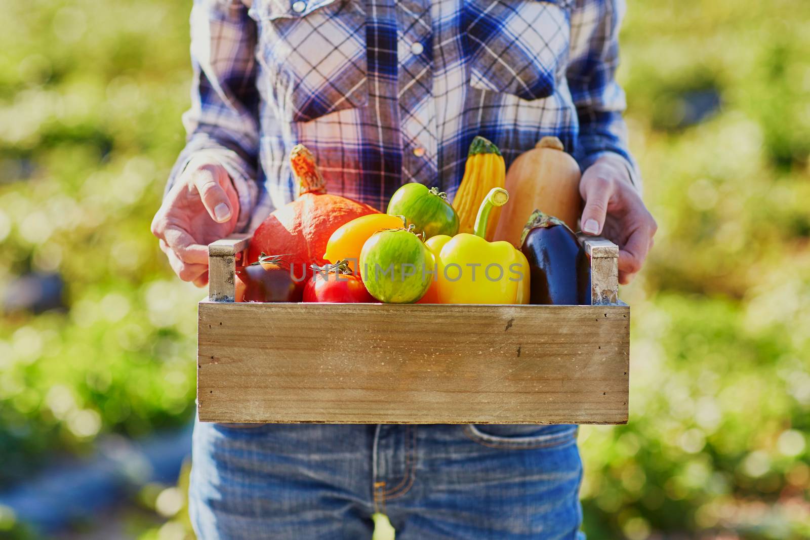 Woman holding wooden crate with fresh organic vegetables from farm