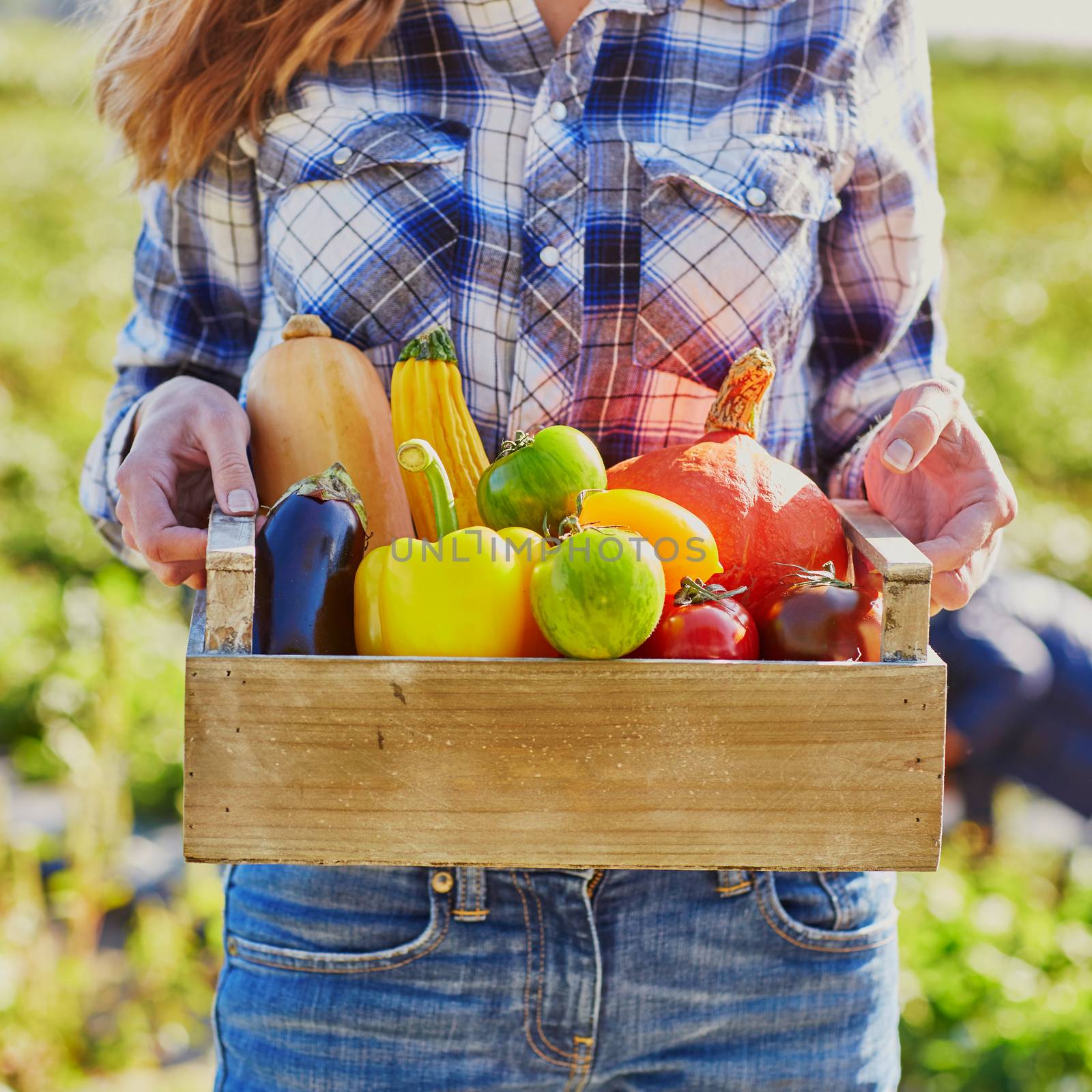 Woman holding wooden crate with fresh organic vegetables from farm