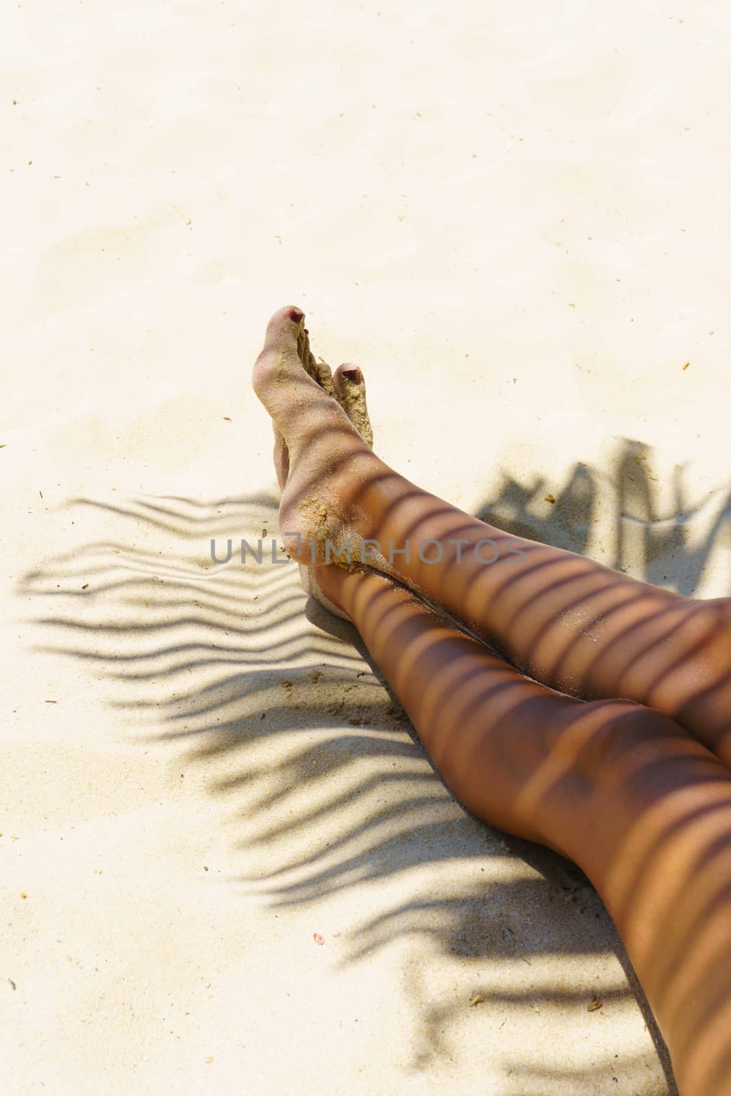 Woman legs with coconut leaf shadow by Netfalls