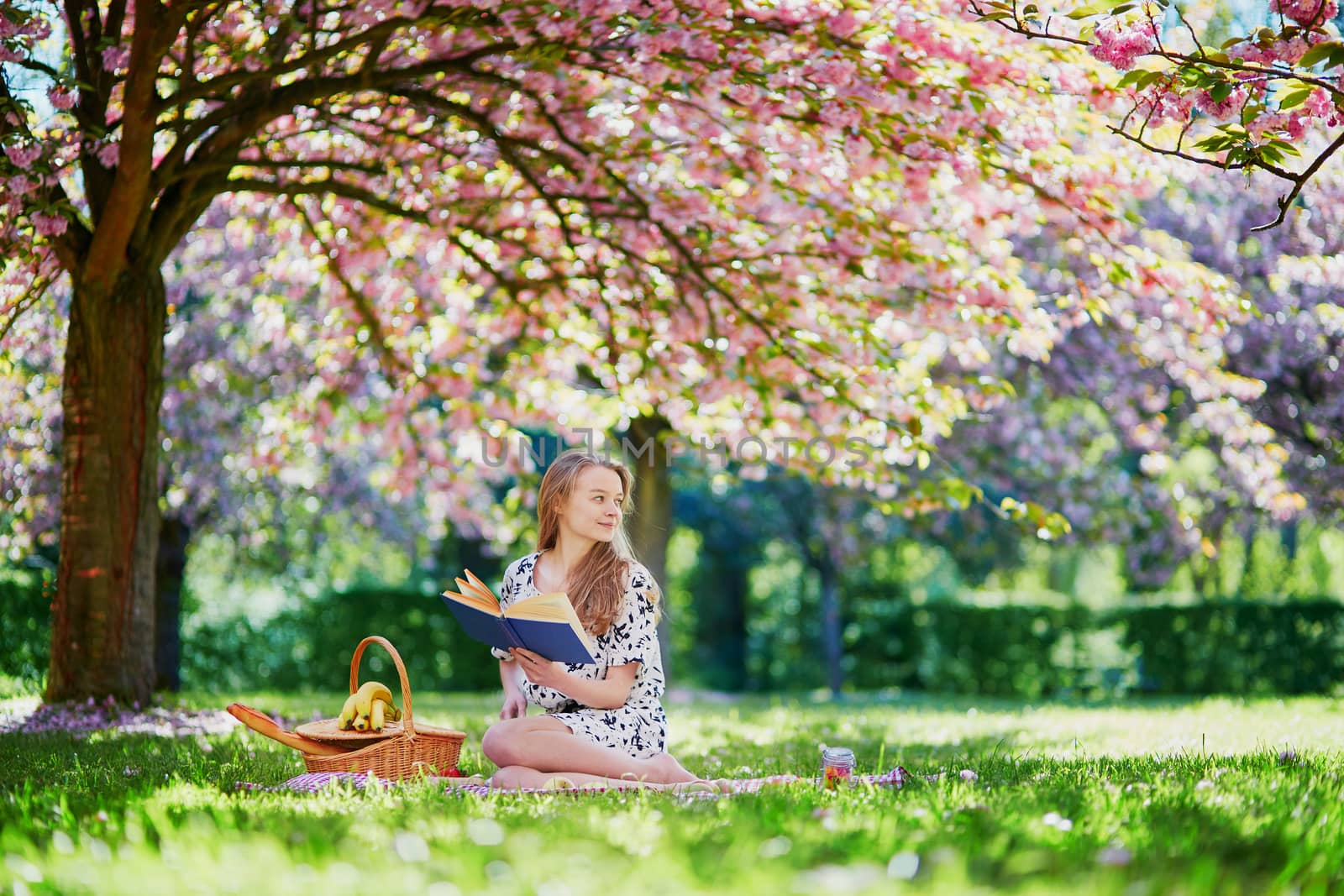 Beautiful young woman having picnic on sunny spring day in park during cherry blossom season, reading a book