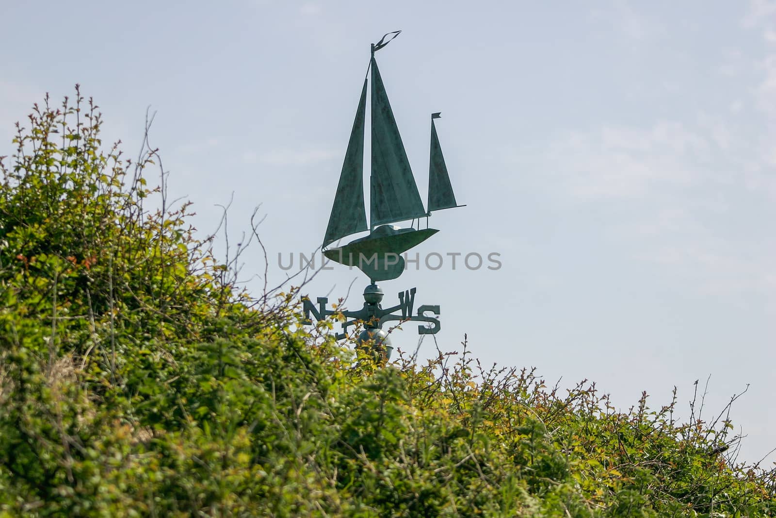 Nautical weathevane near a hedge in the countryside in Cornwall