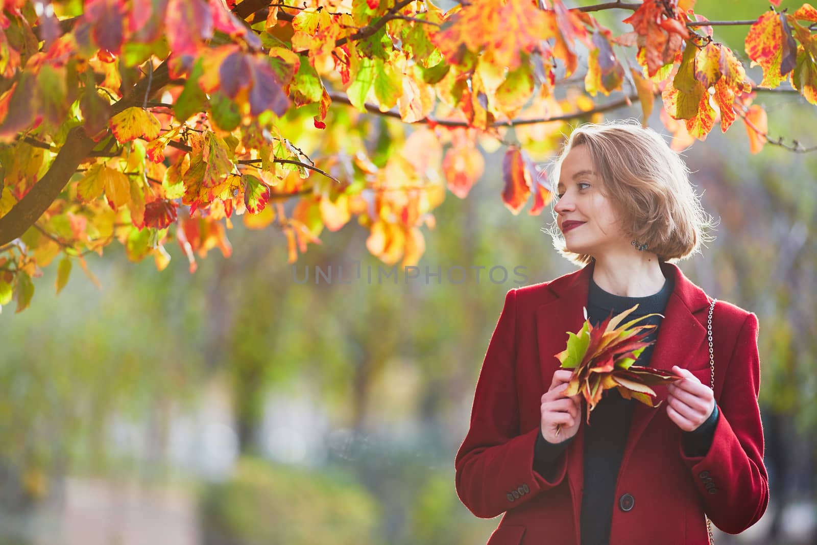 Beautiful young woman with bunch of colorful autumn leaves walking in park on a fall day