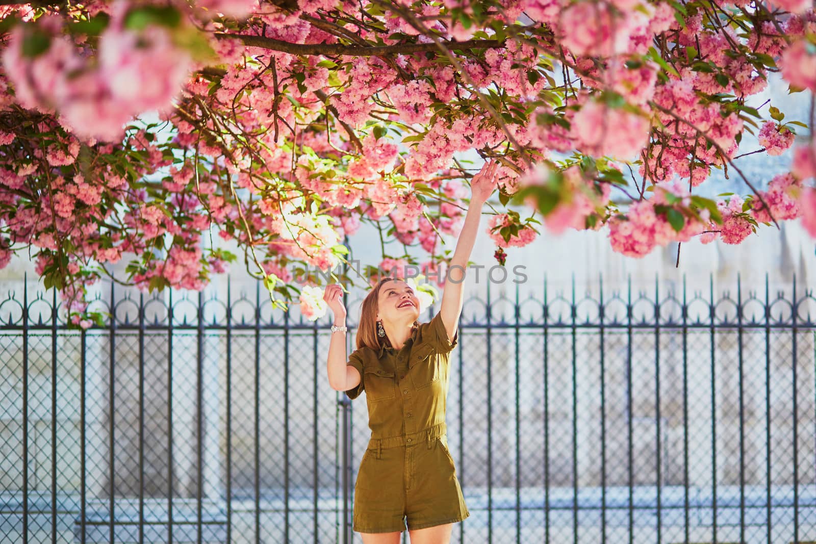 Beautiful French woman walking in Paris on a spring day at cherry blossom season