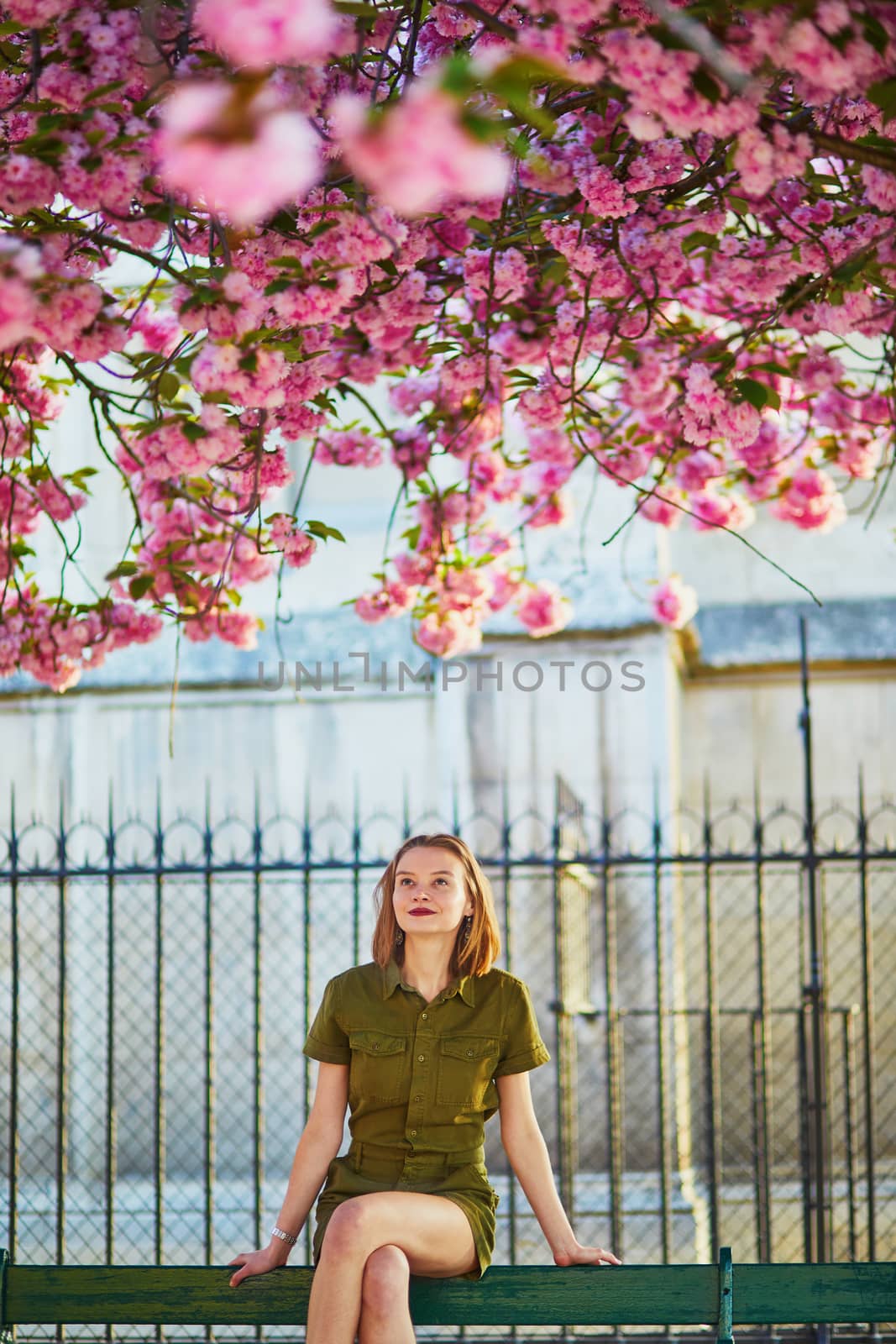 Beautiful French woman walking in Paris on a spring day at cherry blossom season