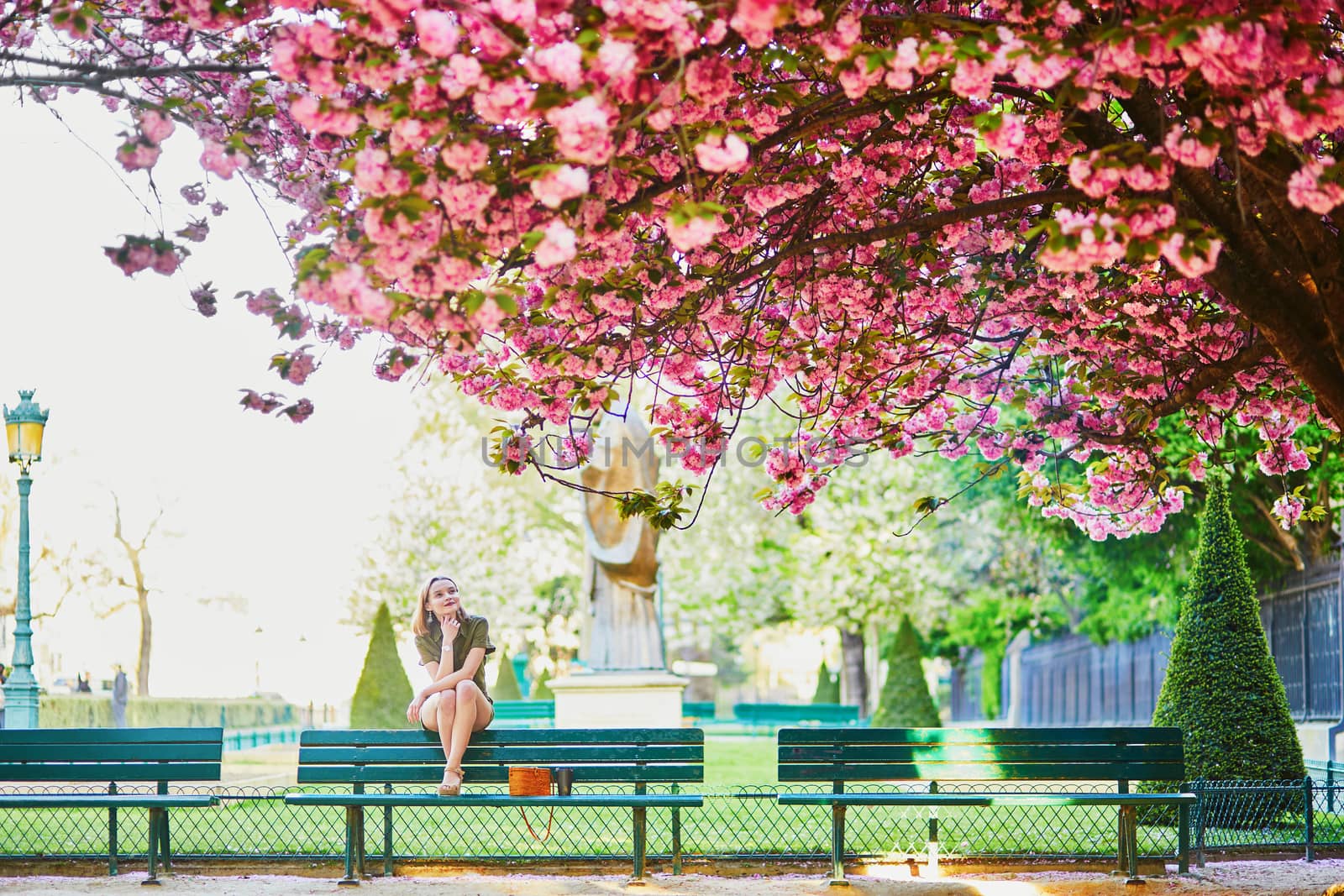 Beautiful French woman walking in Paris on a spring day at cherry blossom season
