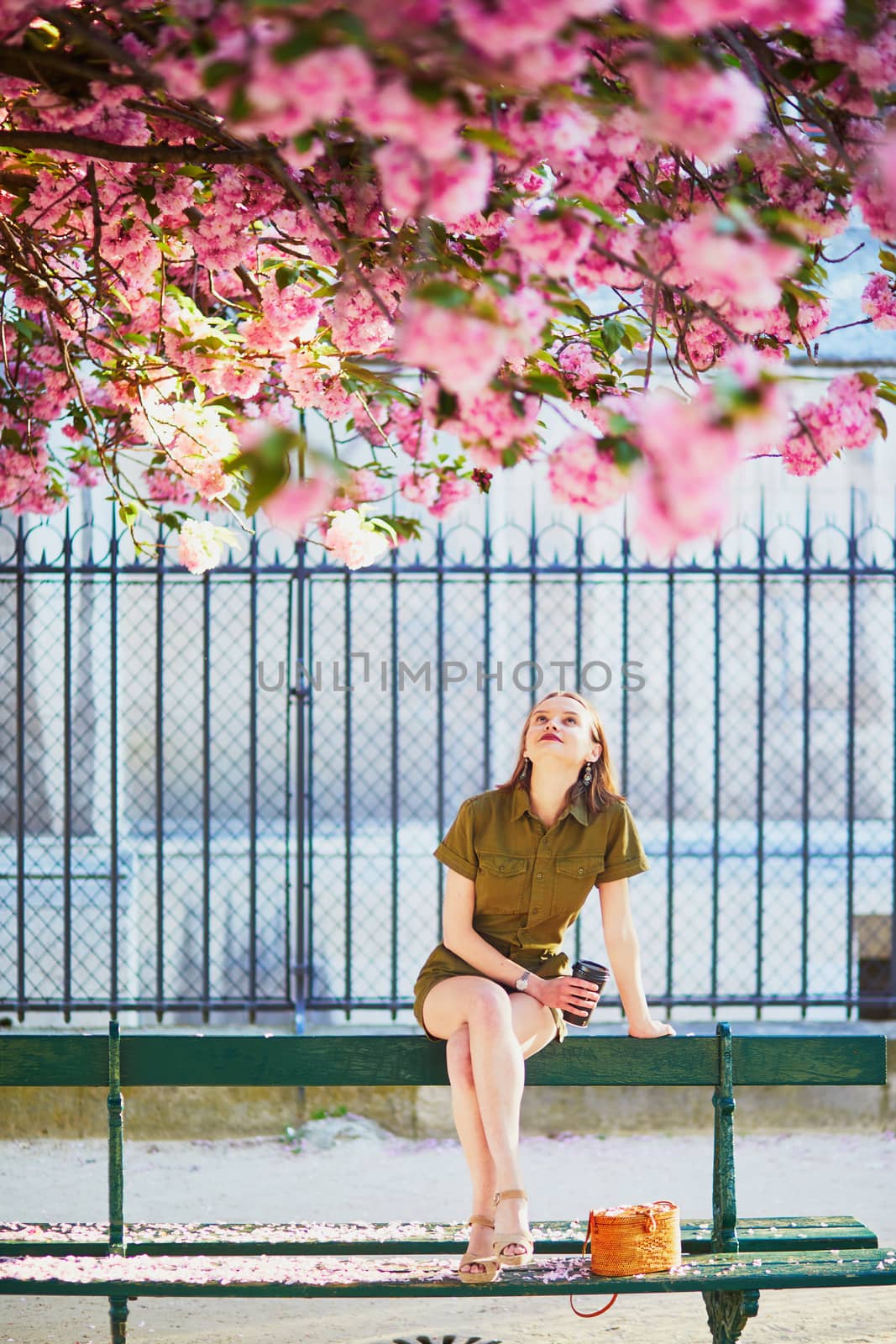 Beautiful French woman walking in Paris on a spring day at cherry blossom season