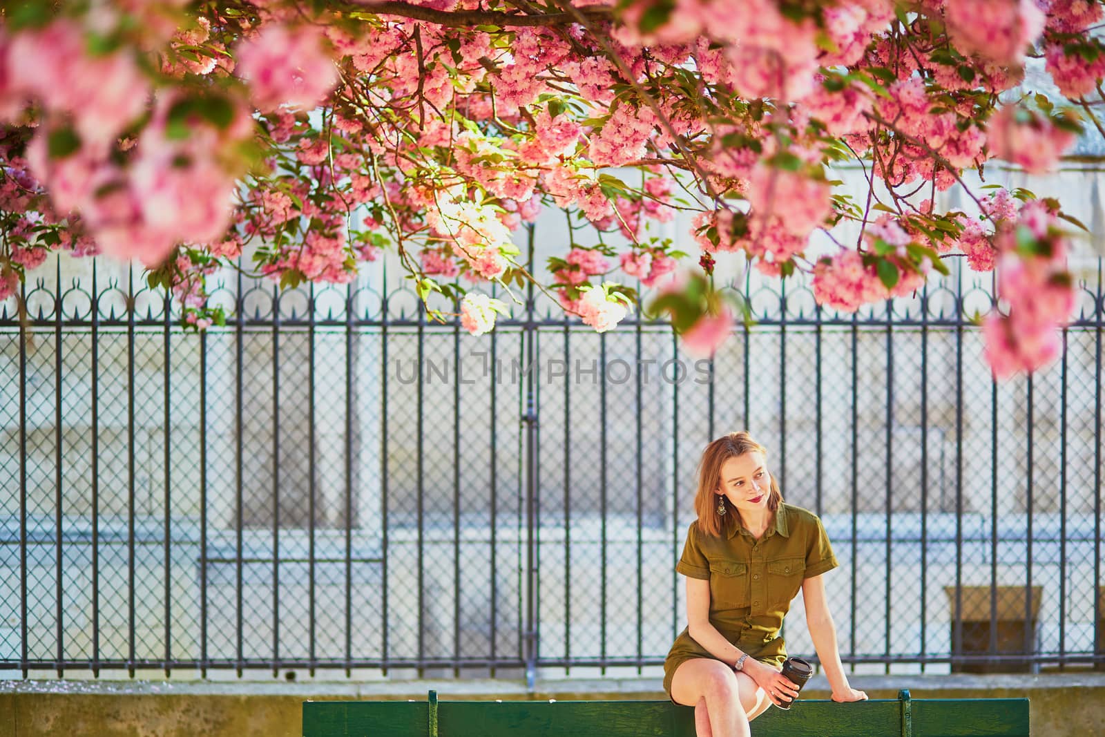Beautiful French woman walking in Paris on a spring day at cherry blossom season