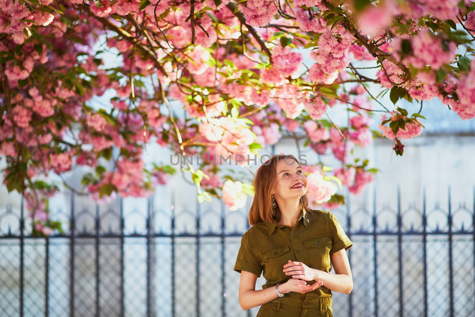 Beautiful French woman walking in Paris on a spring day at cherry blossom season