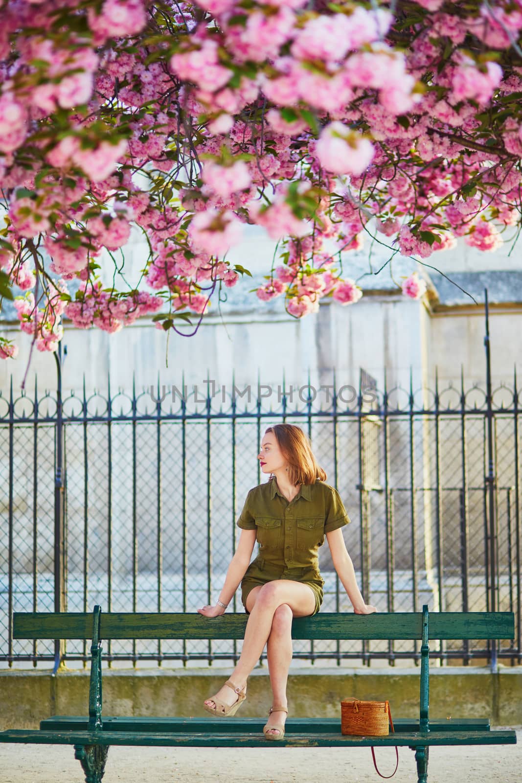 Beautiful French woman walking in Paris on a spring day at cherry blossom season