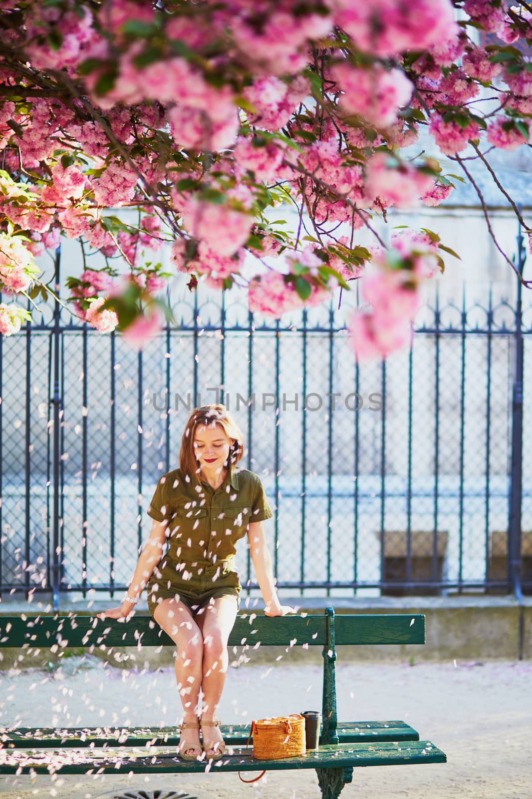 Beautiful French woman walking in Paris on a spring day at cherry blossom season