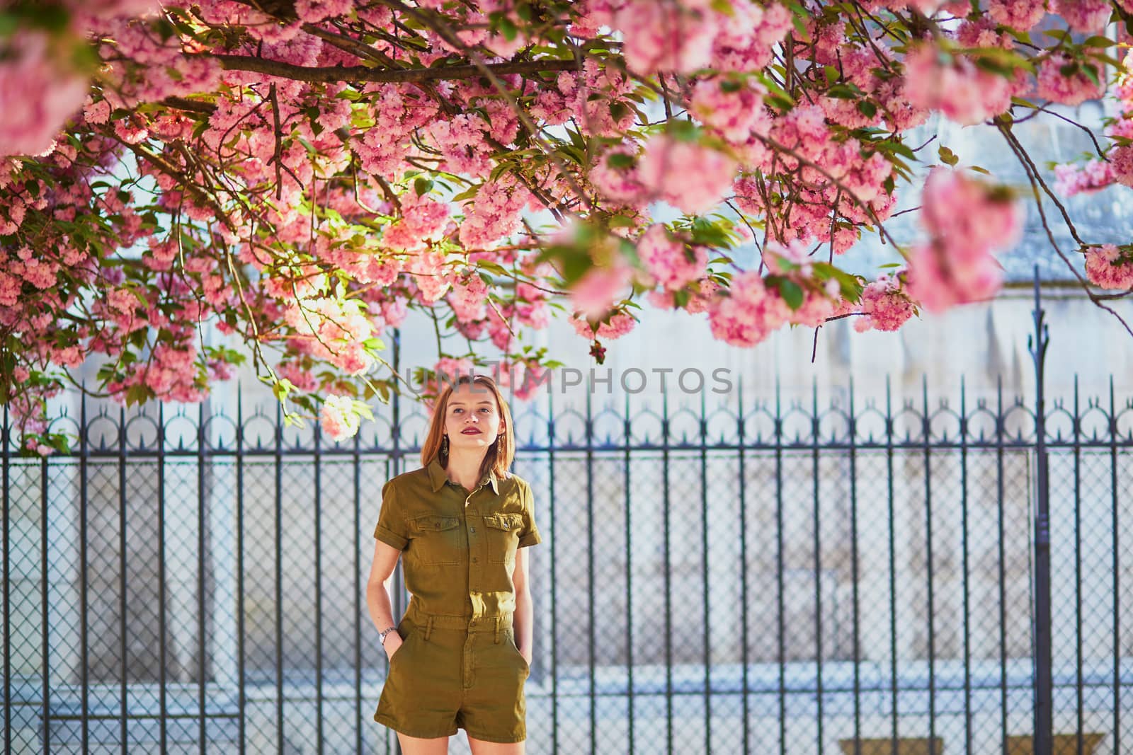 Beautiful French woman walking in Paris on a spring day at cherry blossom season